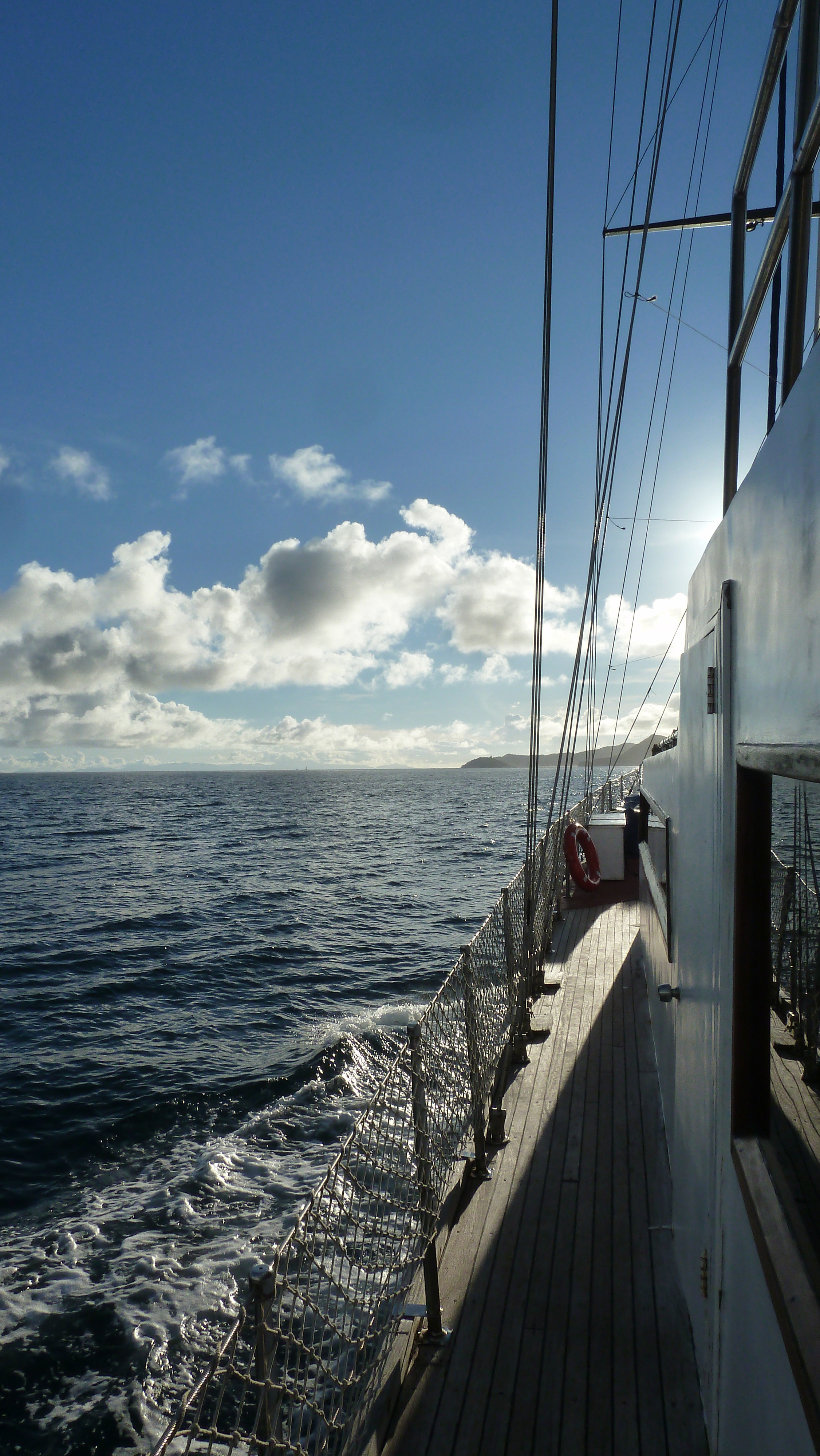รูปถ่าย เซเชลส์(Seychelles) ซีสตาร์(Sea Star) 2011-10 33