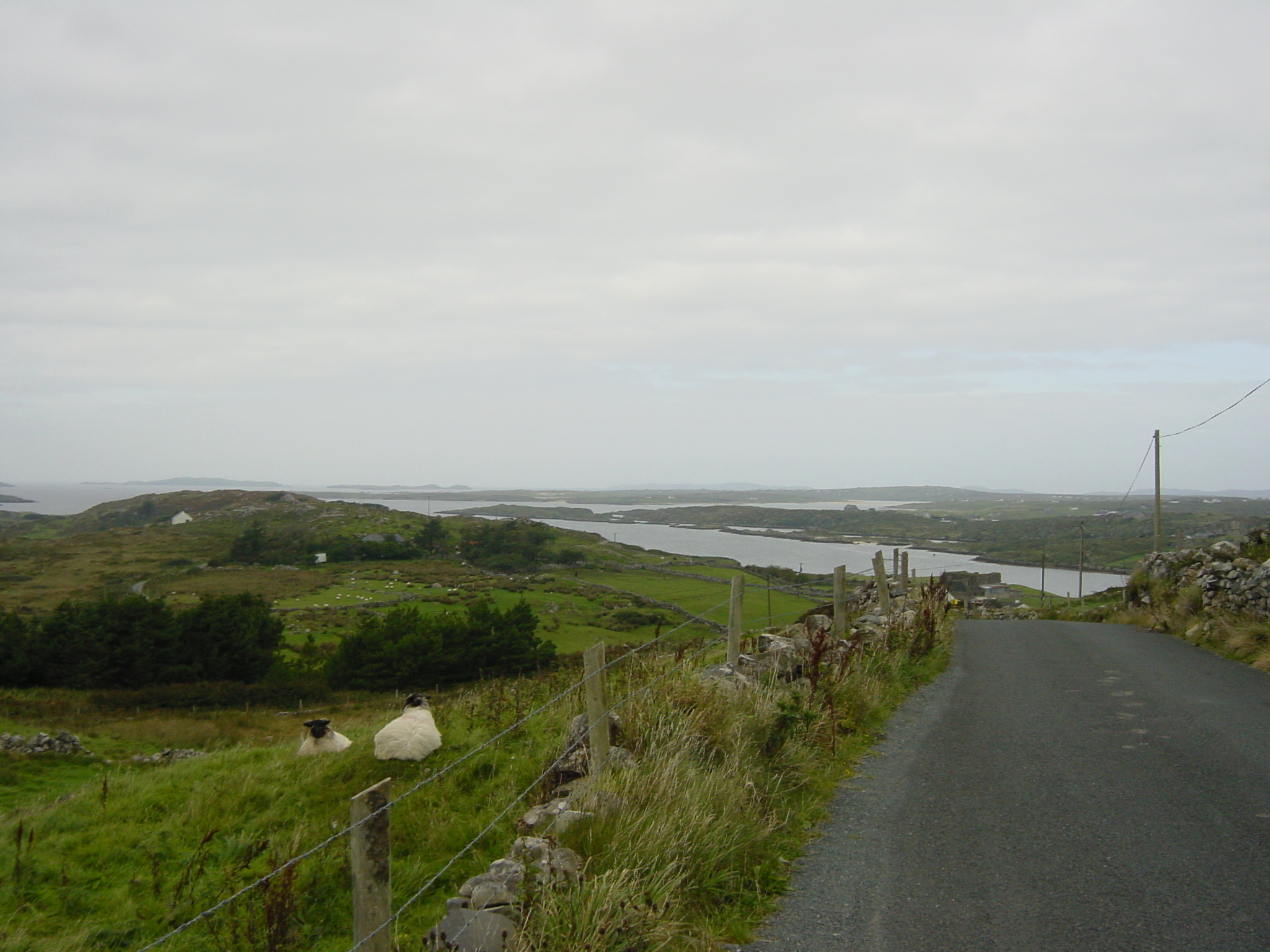 รูปถ่าย ไอร์แลนด์(Ireland) คอนเนอมารา(Connemara) 2003-09 54