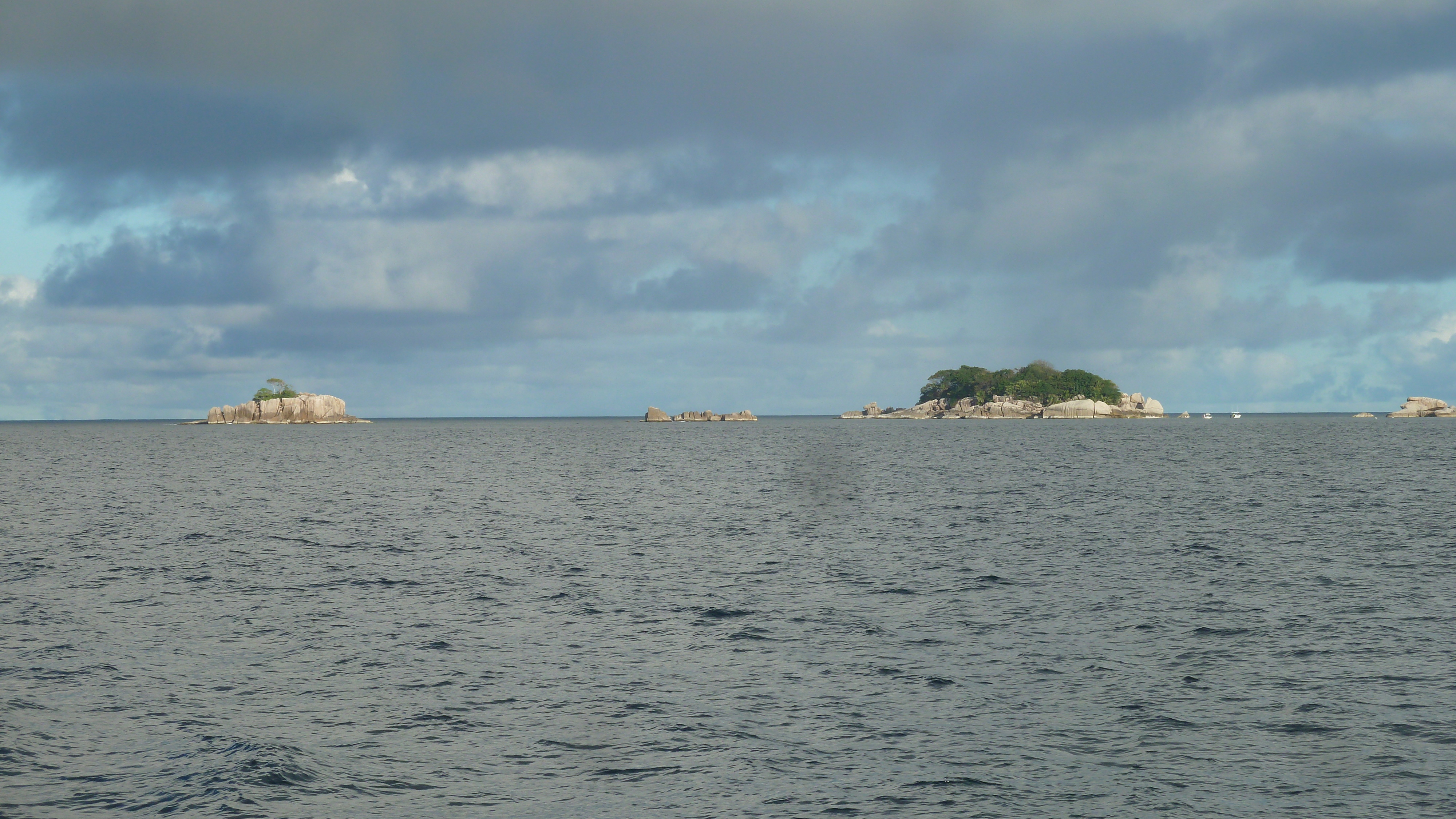 รูปถ่าย เซเชลส์(Seychelles) เกาะโกโก้(Coco Island) 2011-10 41