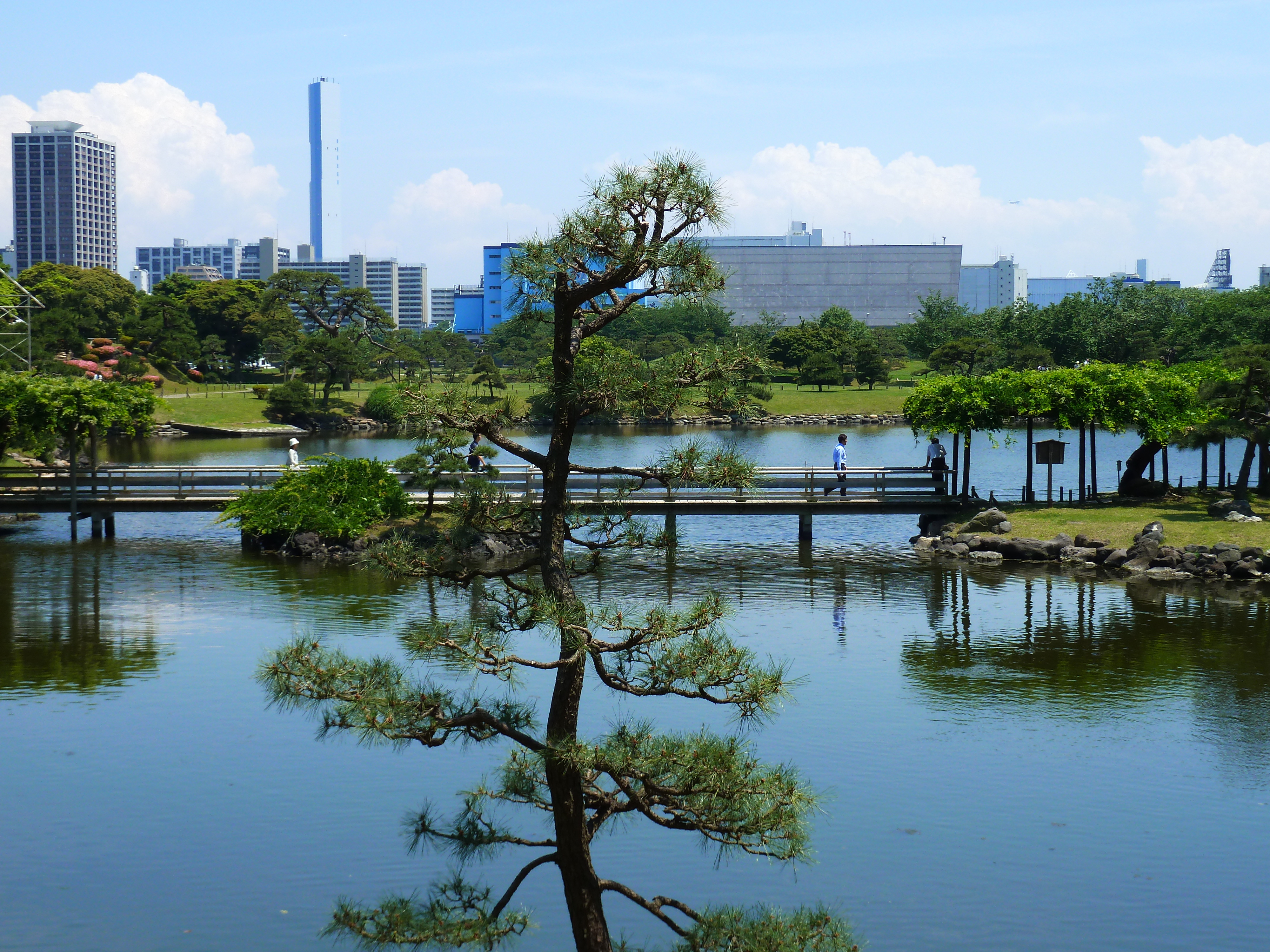 รูปถ่าย ญี่ปุ่น(Japan) โตเกียว(Tokyo) 2010-06 77
