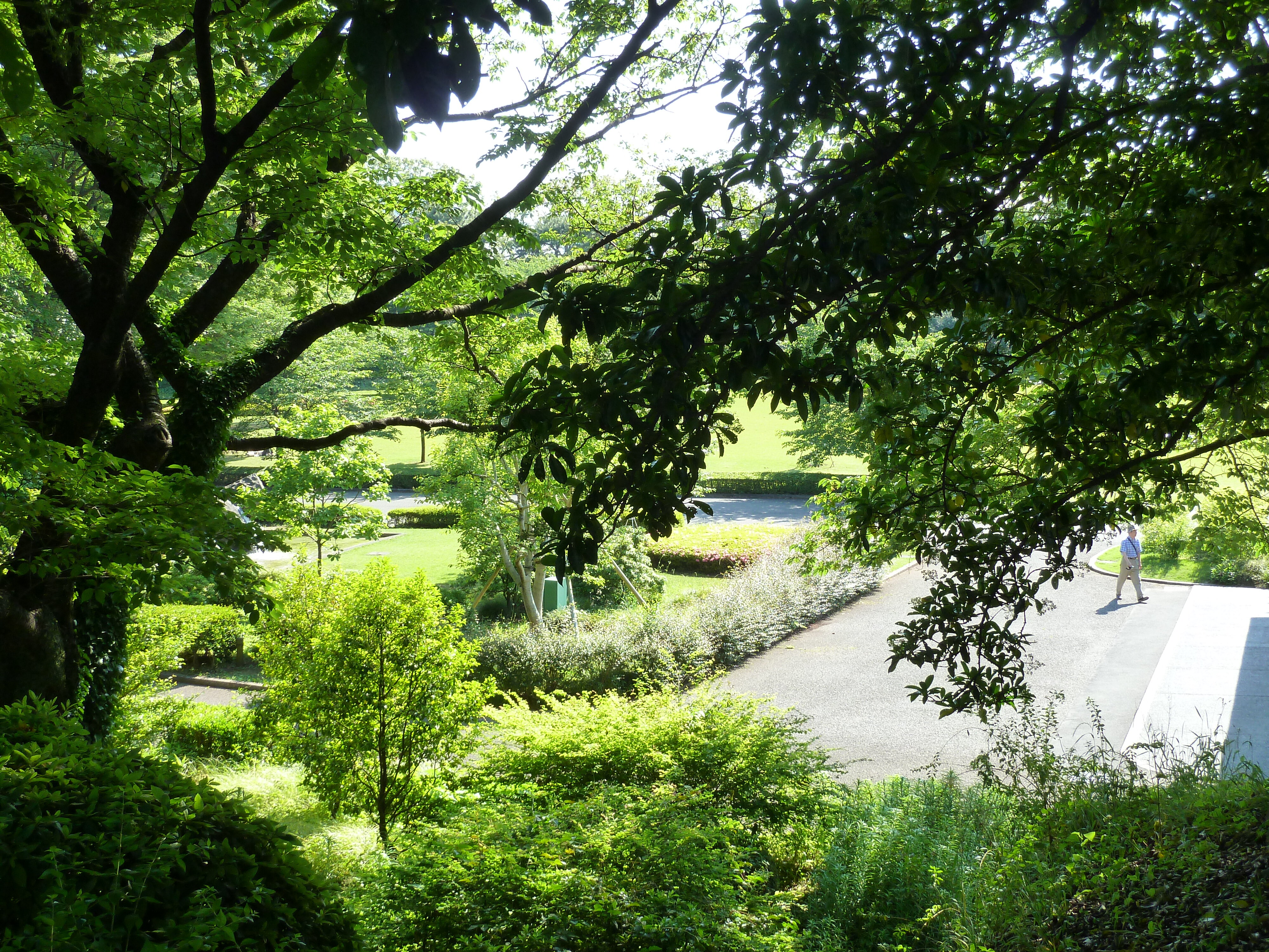 รูปถ่าย ญี่ปุ่น(Japan) โตเกียว(Tokyo) พระราชวังหลวง(Imperial Palace) 2010-06 17