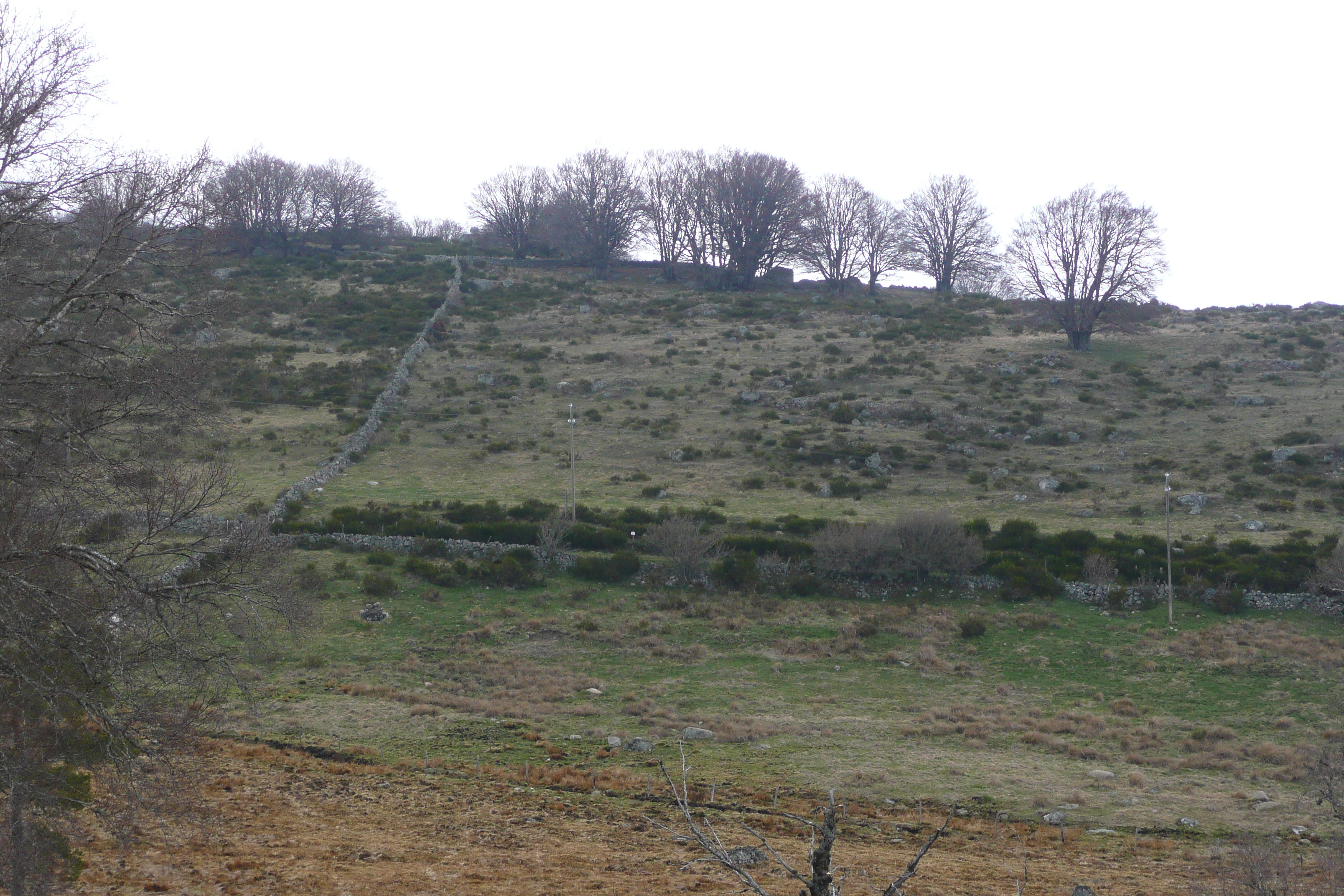 รูปถ่าย ฝรั่งเศส(France) โอบรัก(L'Aubrac) 2008-04 49