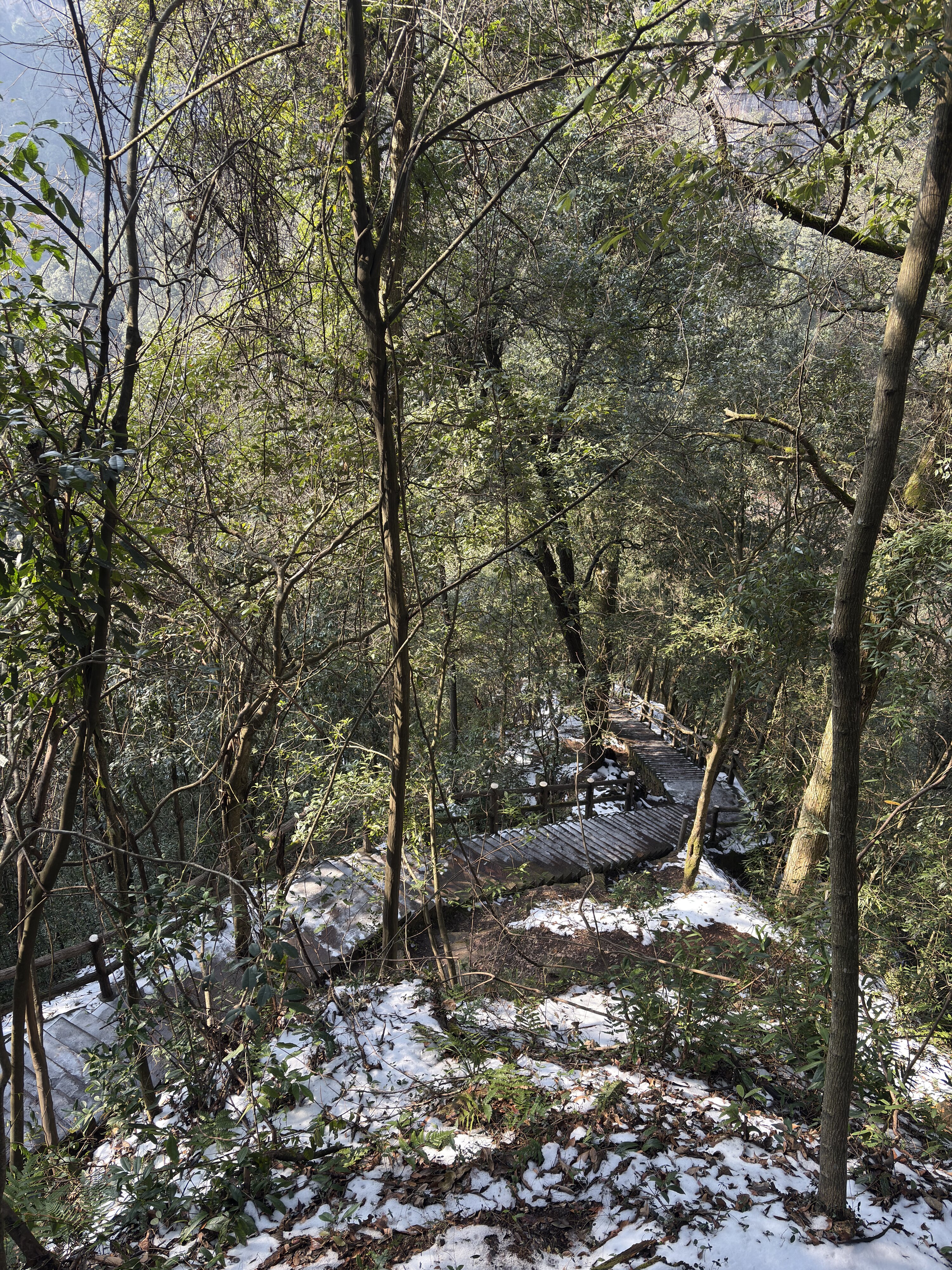 รูปถ่าย จีน(China) จางเจียเจี้ย(Zhangjiajie) ภูเขาเทียนจื่อ(Tianzi Mountain) 2026-01 50