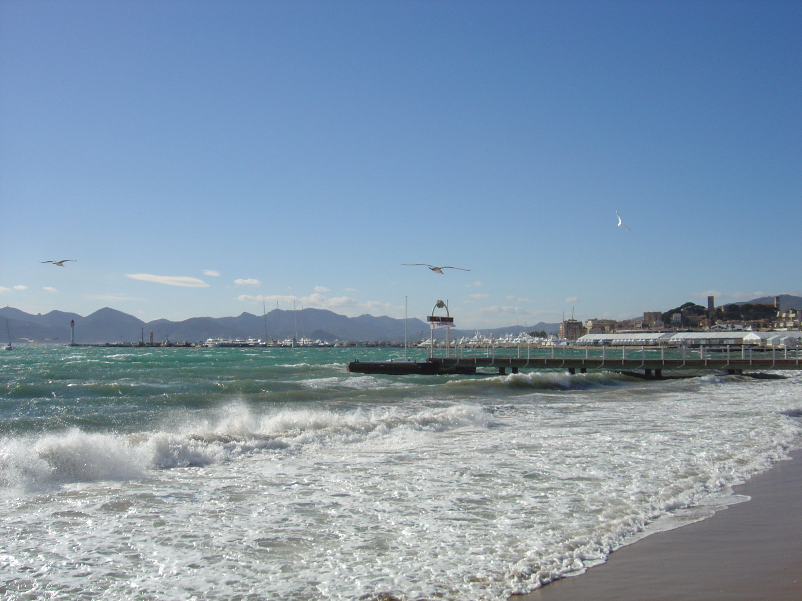 รูปถ่าย ฝรั่งเศส(France) คานส์(Cannes) 2005-02 3