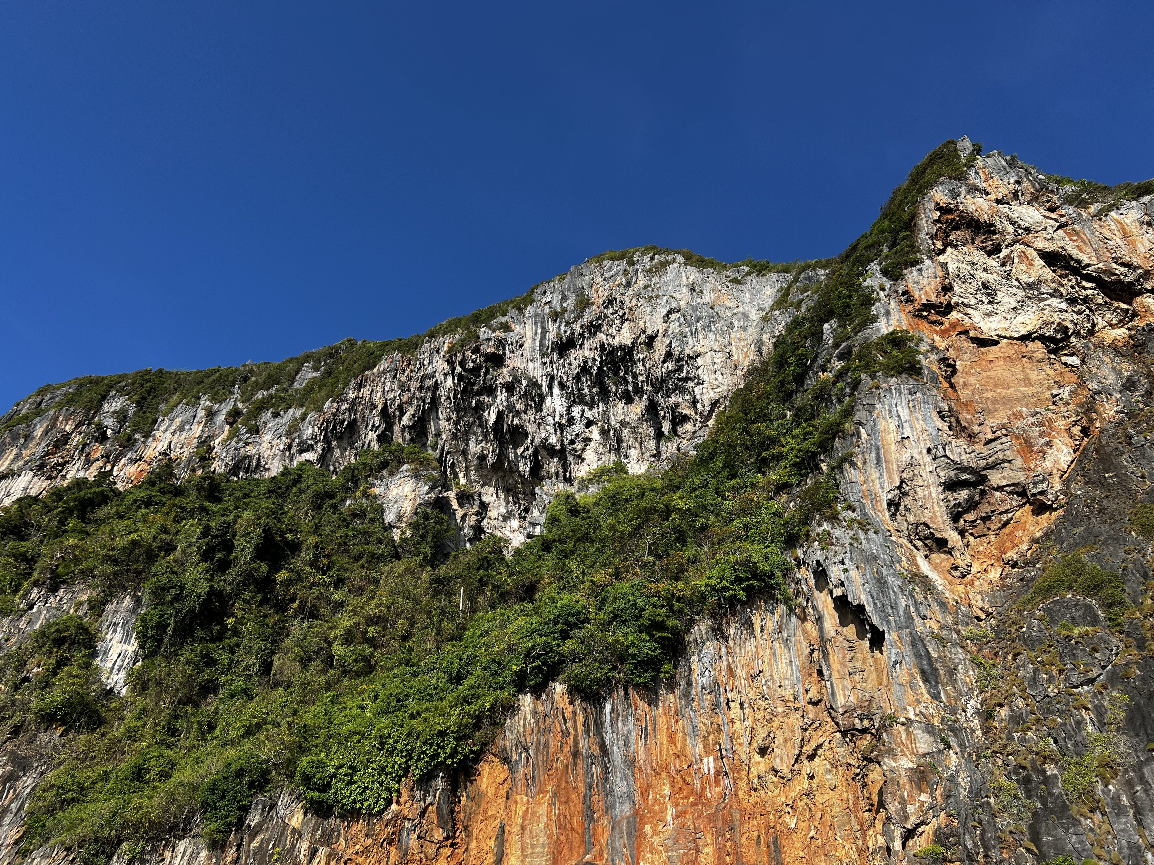 รูปถ่าย ไทย(Thailand) เกาะพีพีเล(Ko Phi Phi Ley) 2021-12 118