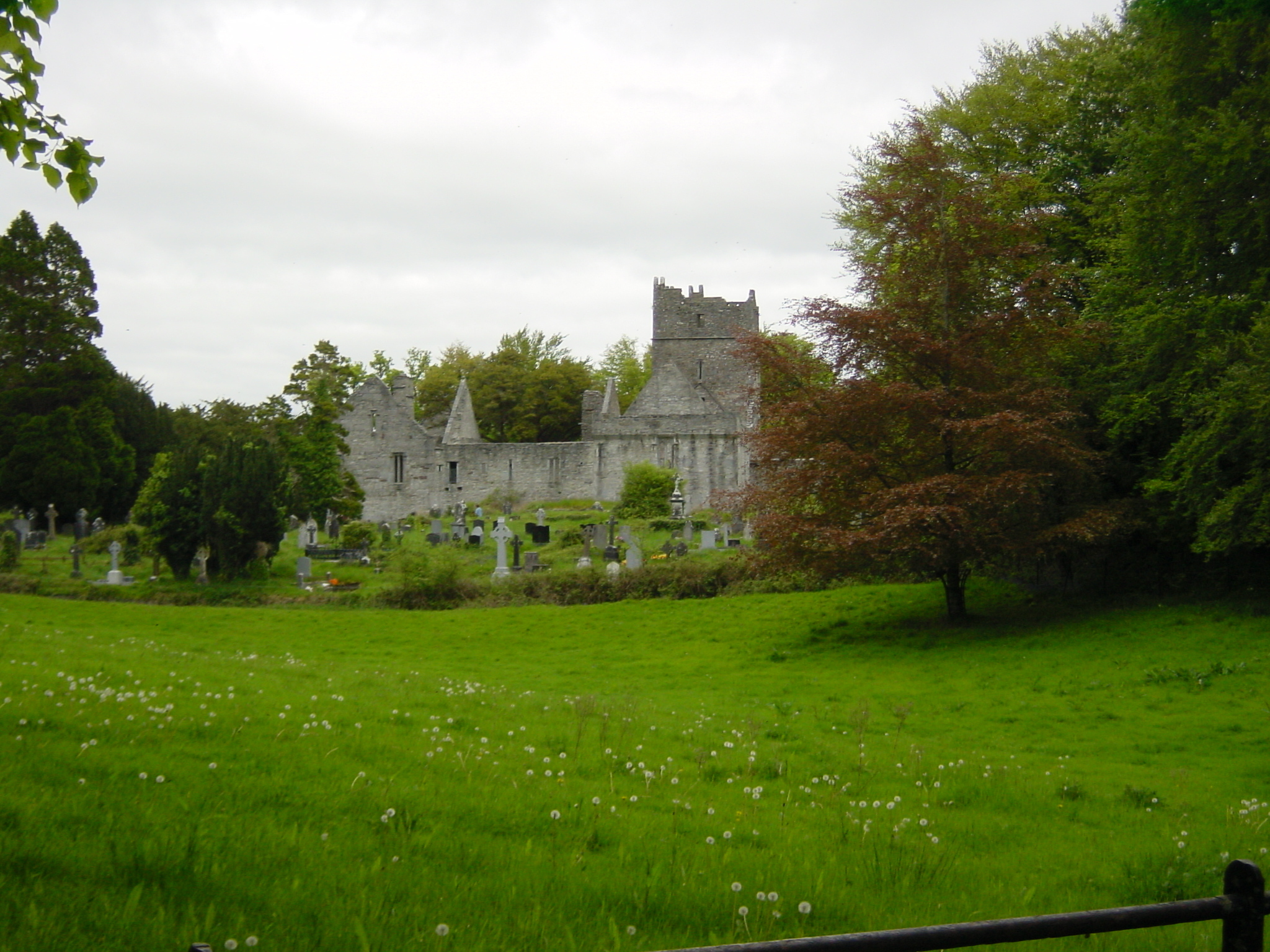 รูปถ่าย ไอร์แลนด์(Ireland) เคอร์รี่(Kerry) สวนสาธารณะคิลลาร์นีย์เนชั่นเนล(Killarney National Park) บ้านมัครอส(Muckross House) 2004-05 22