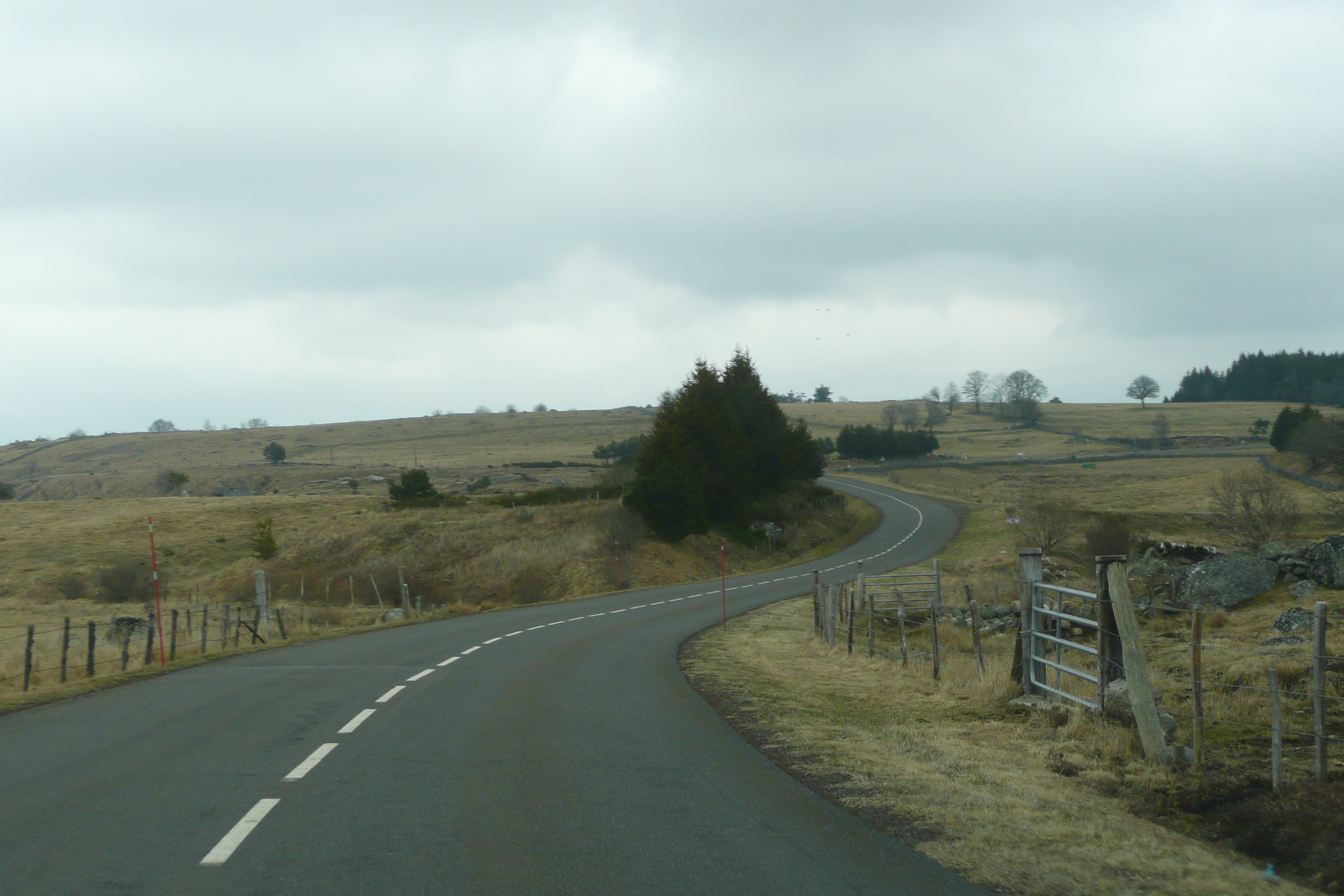 รูปถ่าย ฝรั่งเศส(France) โอบรัก(L'Aubrac) 2008-04 69