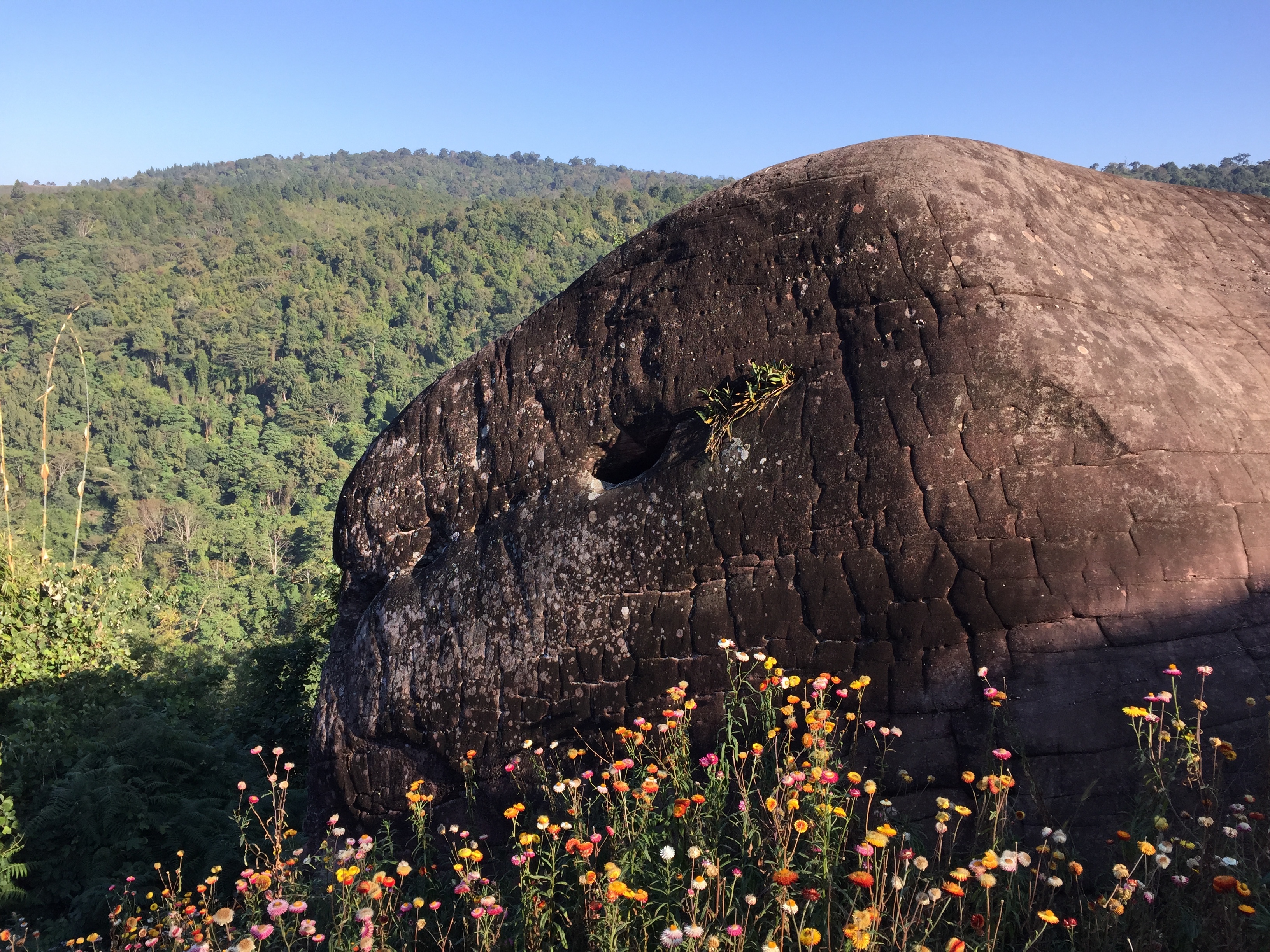 รูปถ่าย ไทย(Thailand) อุทยานแห่งชาติภูหินร่องกล้า(Phu Hin Rong Kla National Park) 2014-12 395