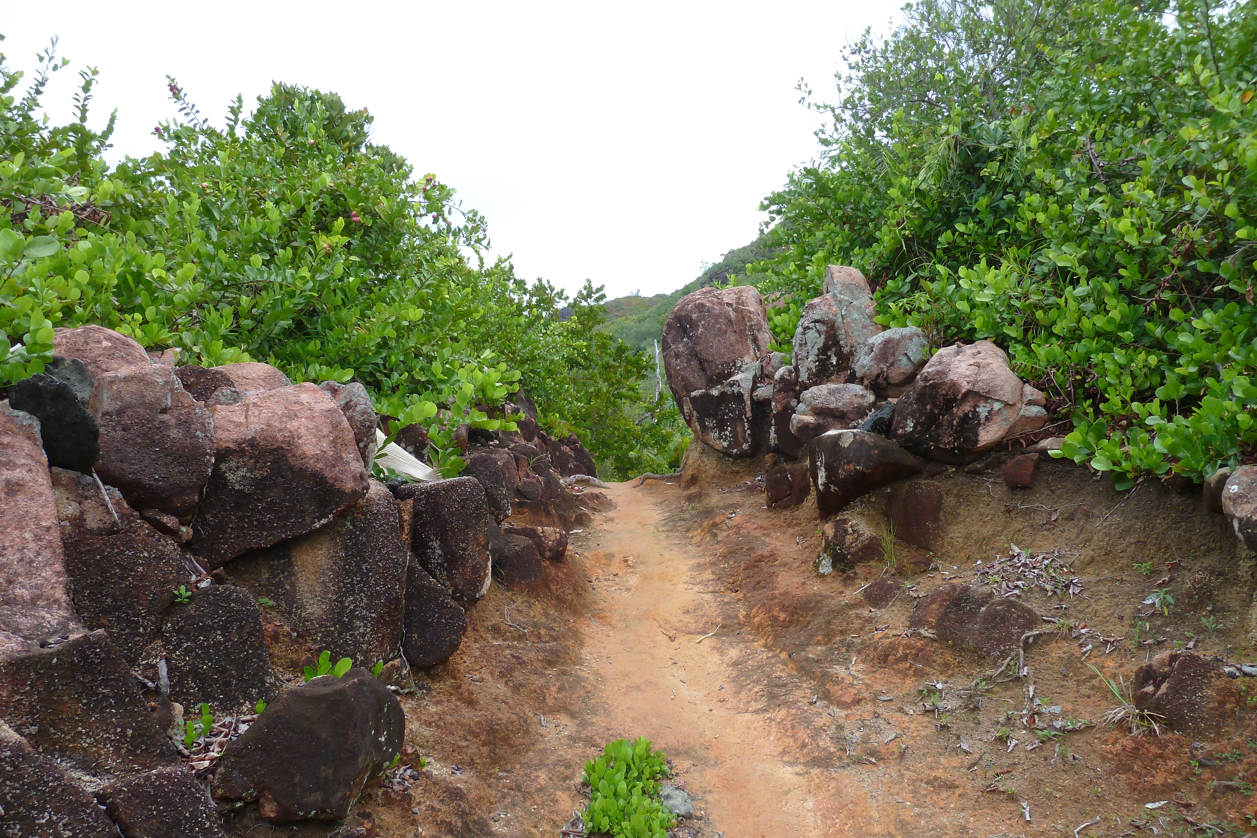 รูปถ่าย เซเชลส์(Seychelles) อ่าวอ็องส์ลาซิโอ(Anse Lazio) 2011-10 98