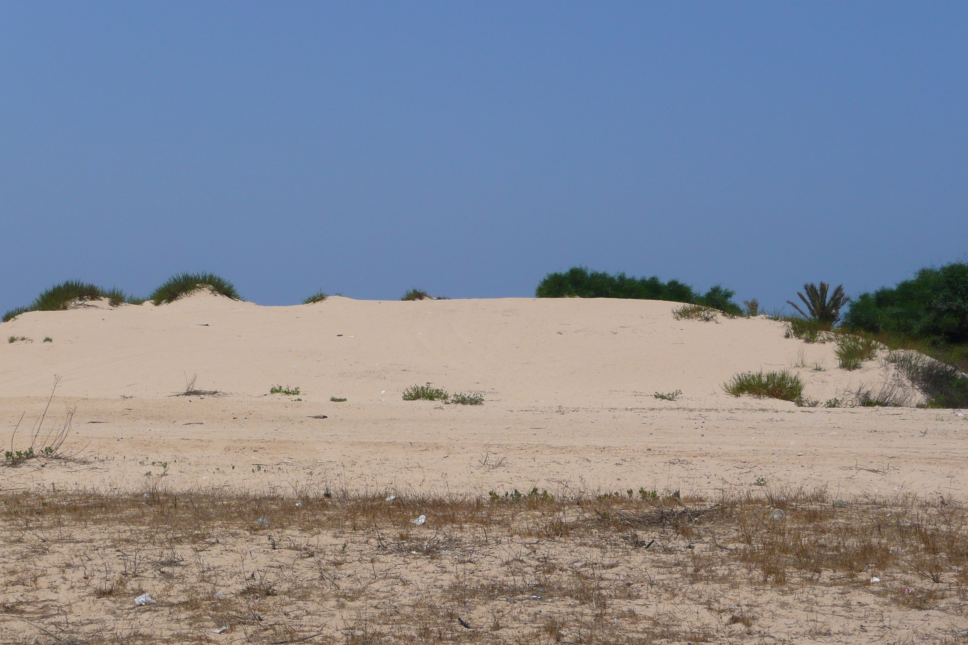 รูปถ่าย อิสราเอล(Israel) นิทซาน(Nitzan) 2007-06 97
