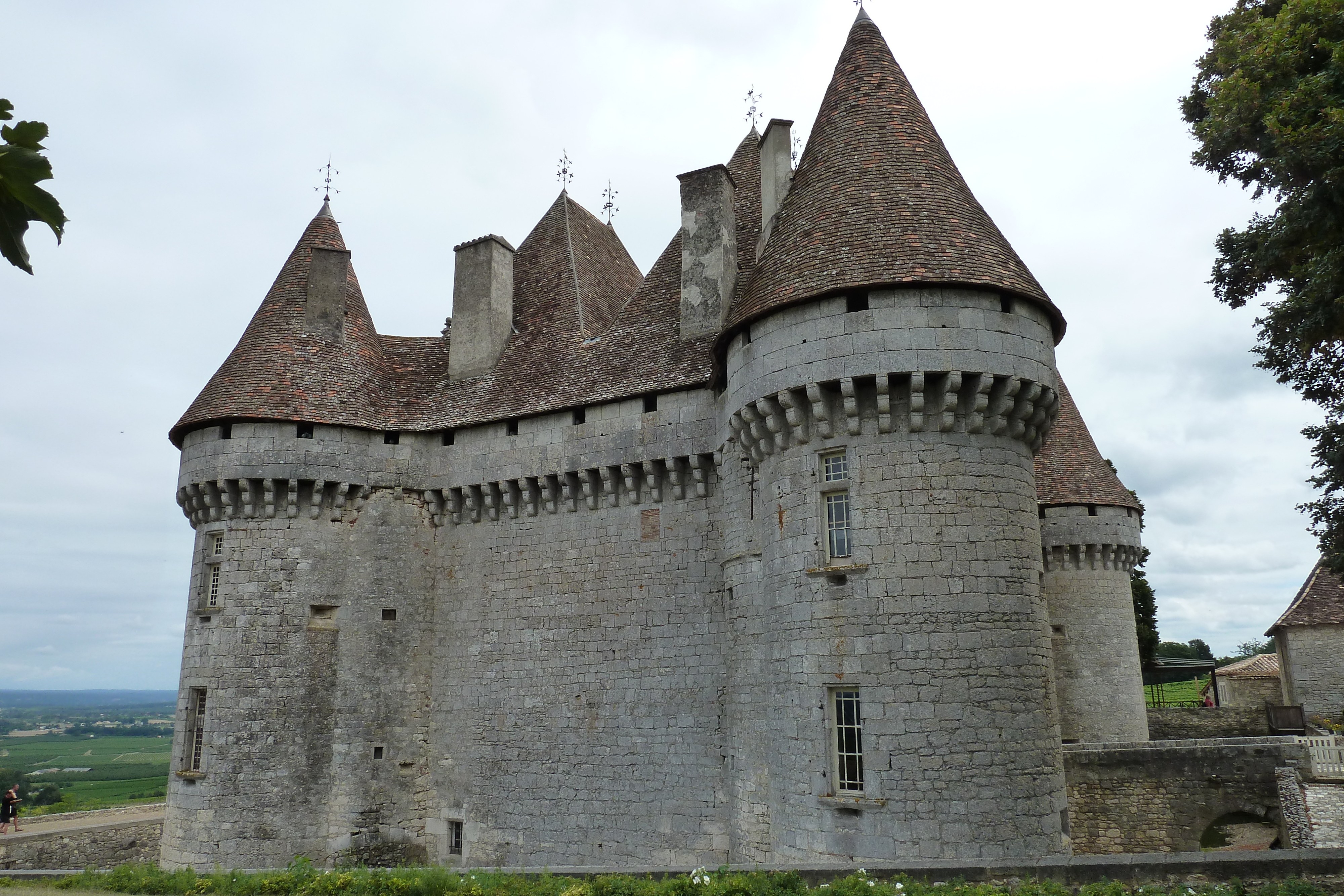 รูปถ่าย ฝรั่งเศส(France) มงบาซียัก(Monbazillac) 2010-08 123