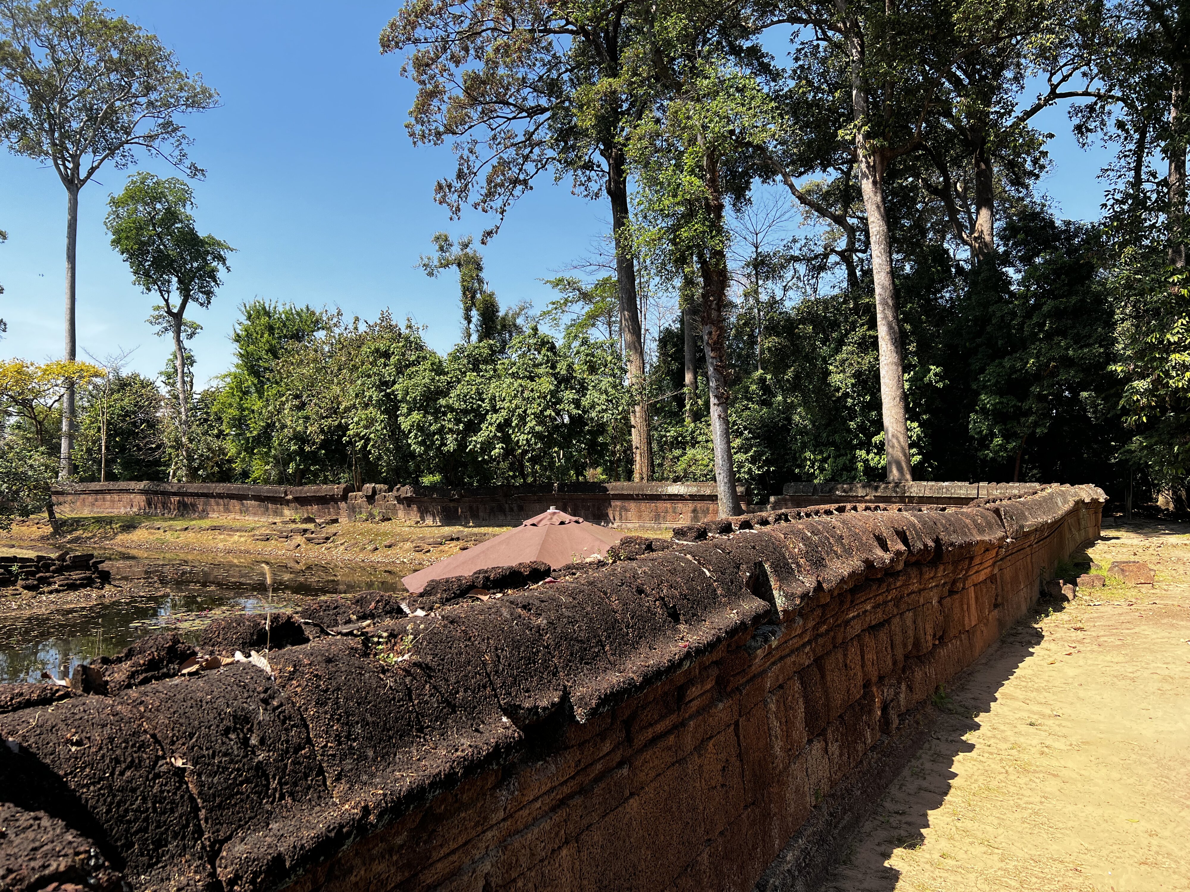 รูปถ่าย กัมพูชา(Cambodia) เสียมราฐ(Siem Reap) ปราสาทบันทายศรี(Banteay Srei) 2023-01 0