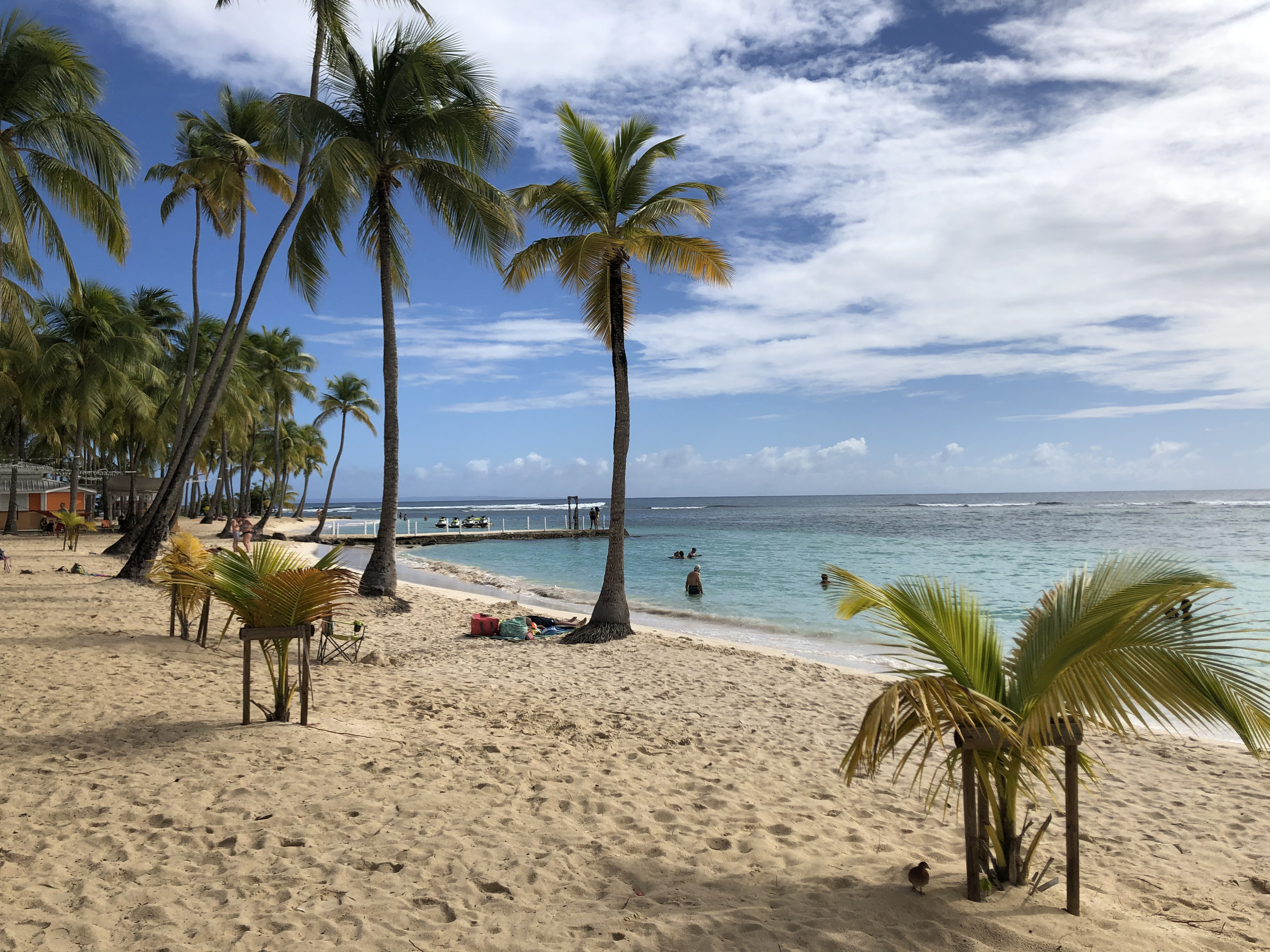 รูปถ่าย กวาเดอลูป(Guadeloupe) หาดลาการาแวล(La Caravelle Beach) 2021-02 52
