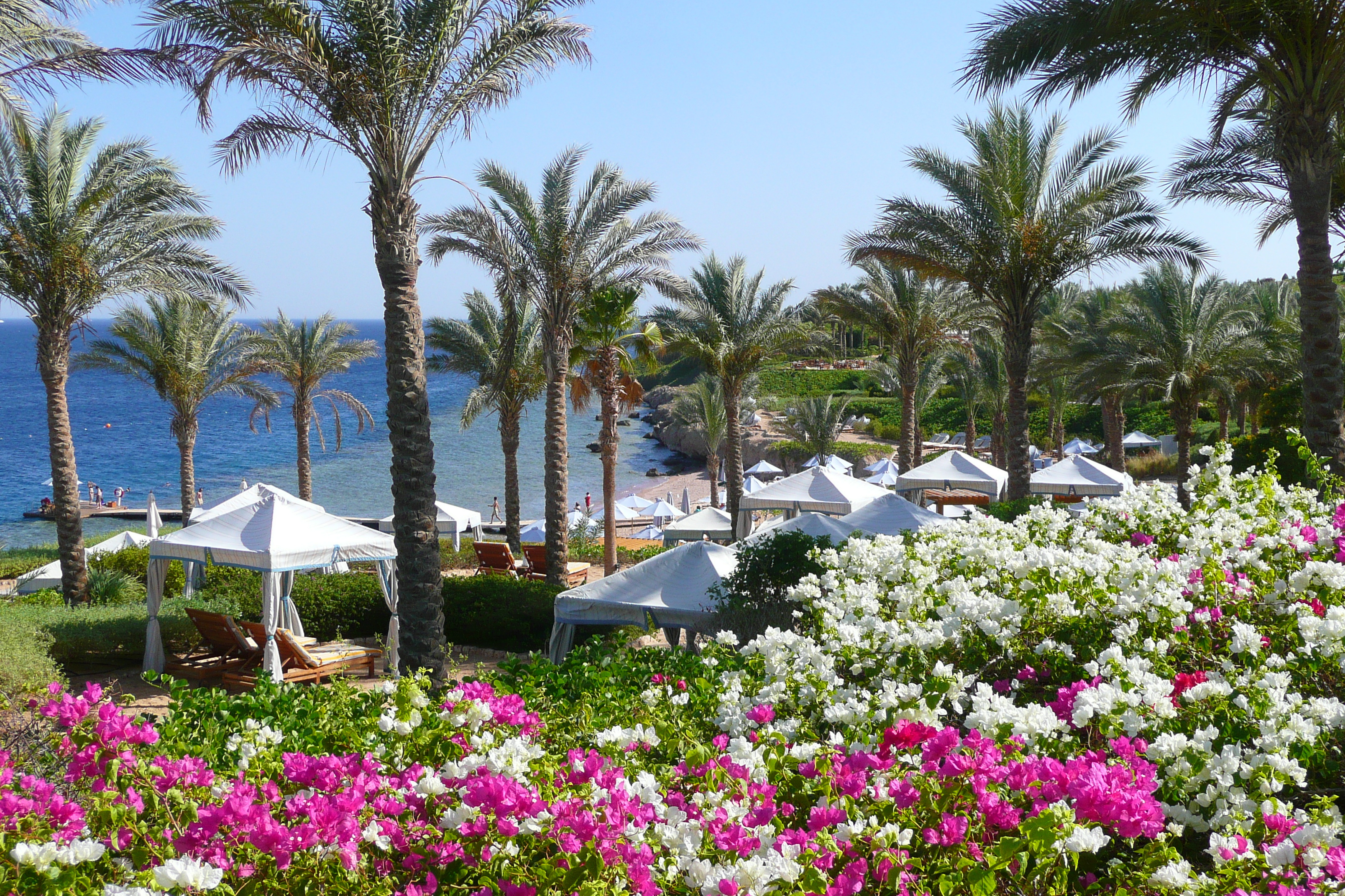 รูปถ่าย อียิปต์(Egypt) ชาร์มเอลชีค(Sharm el Sheikh) โรงแรมโฟร์ซีซันส์(Four Seasons Hotel) หาดโฟร์ซีซันส์(Four Seasons Beach) 2008-06 49
