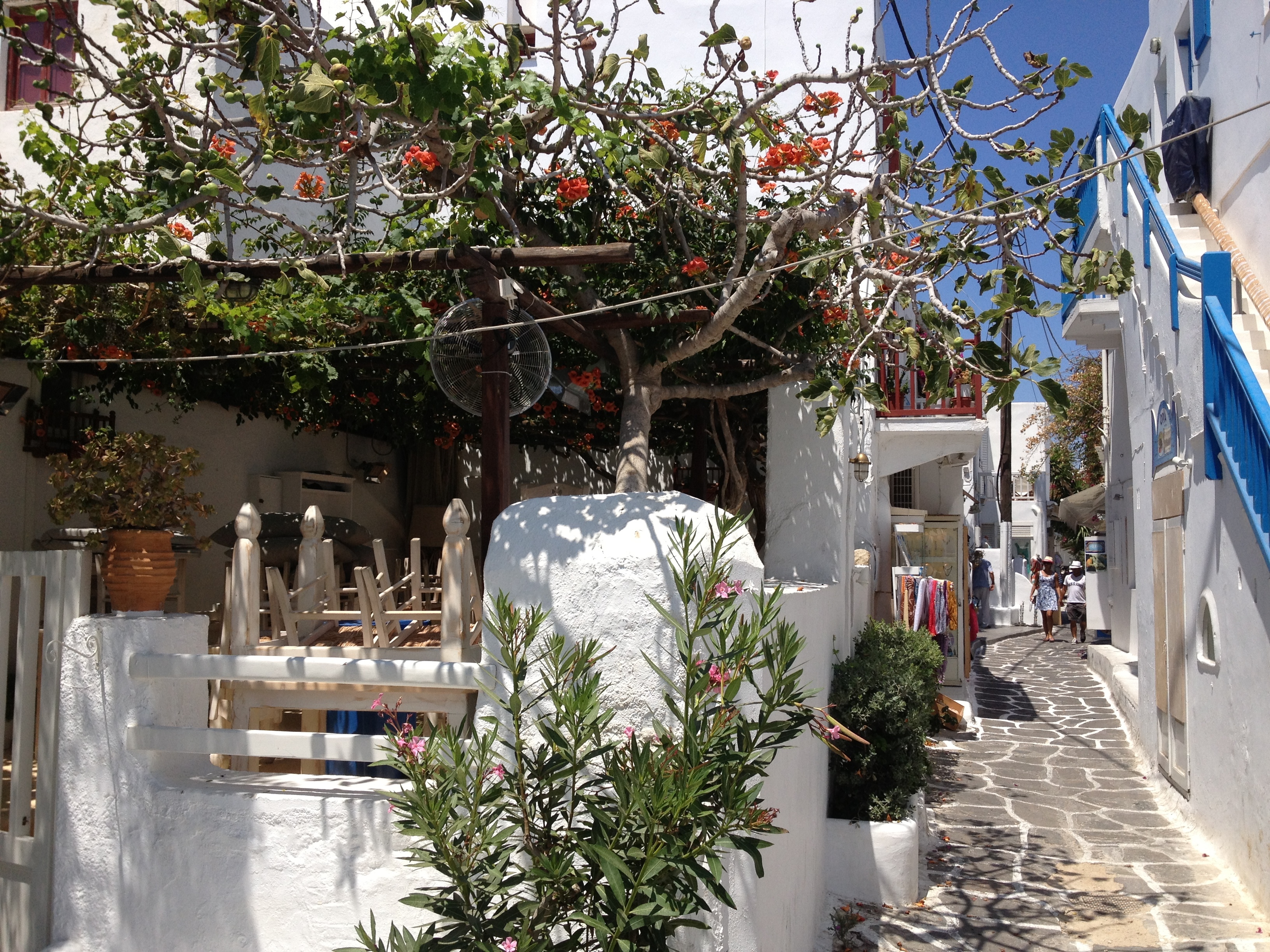 รูปถ่าย กรีก(Greece) เกาะมิโคนอส(Mykonos) 2014-07 189