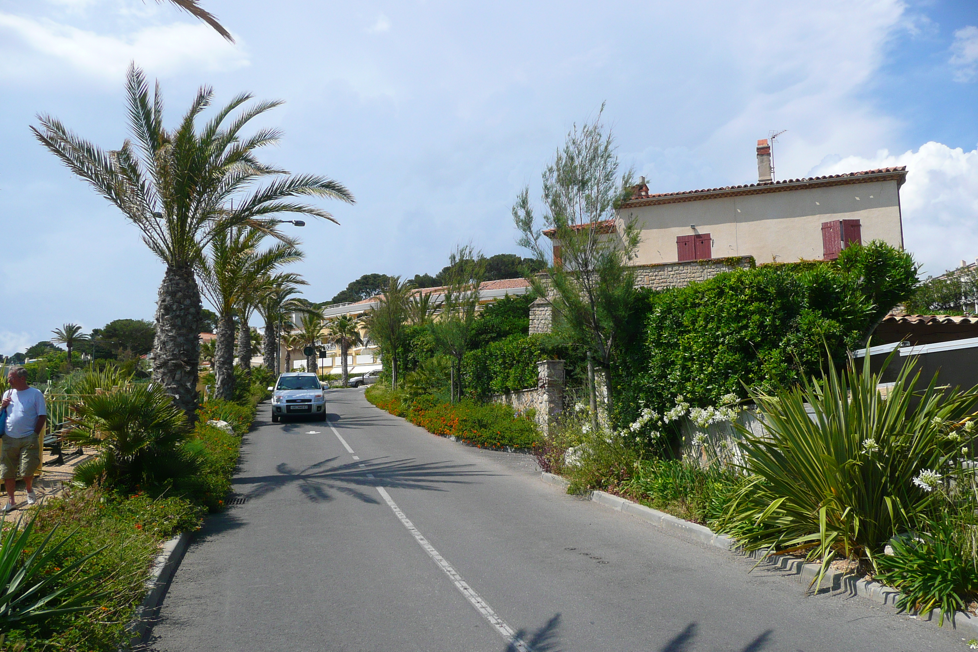 รูปถ่าย ฝรั่งเศส(France) ซานารี(Sanary) 2008-06 48