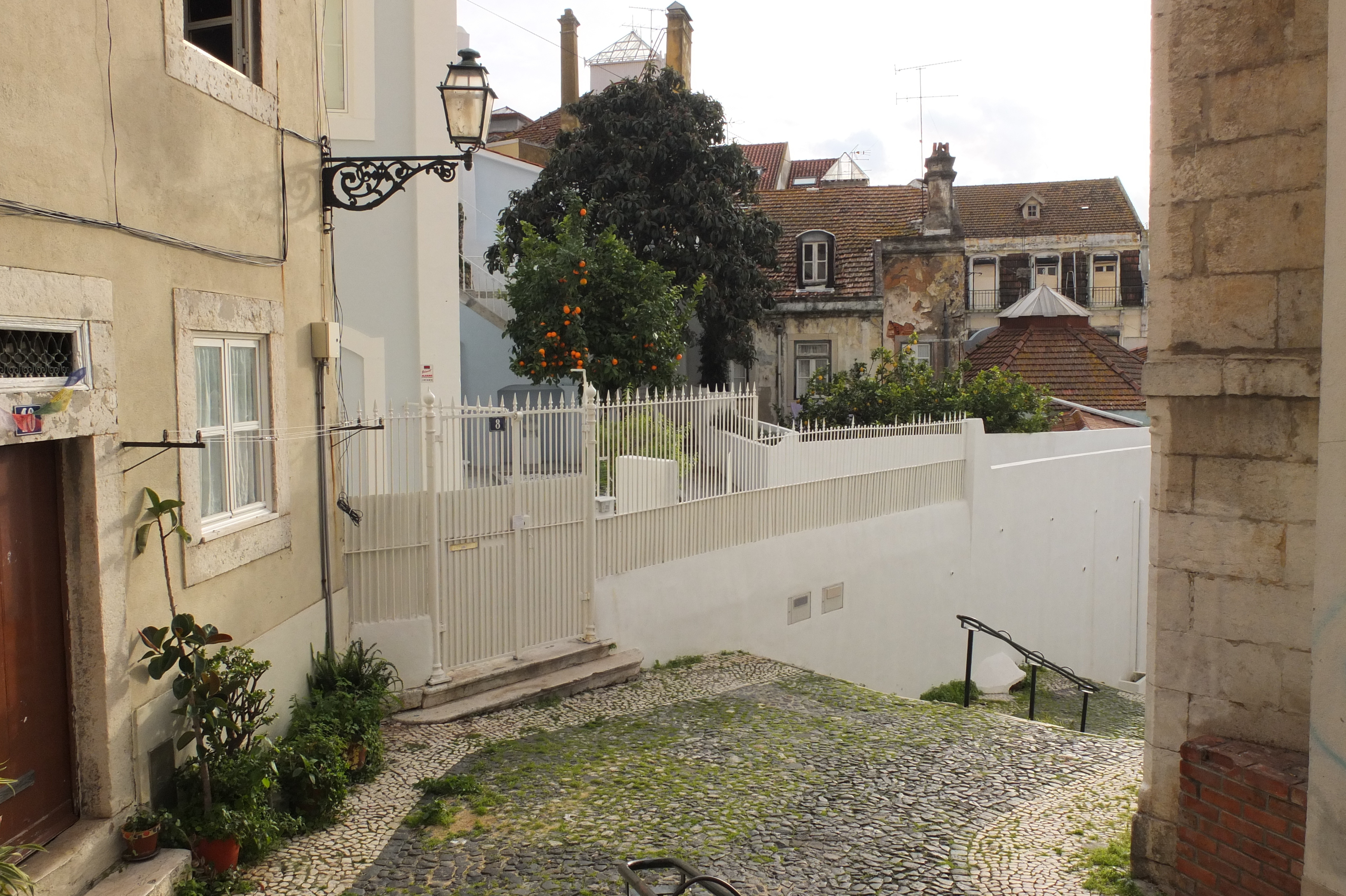 รูปถ่าย โปรตุเกส(Portugal) ลิสบอน(Lisbon) 2013-01 254
