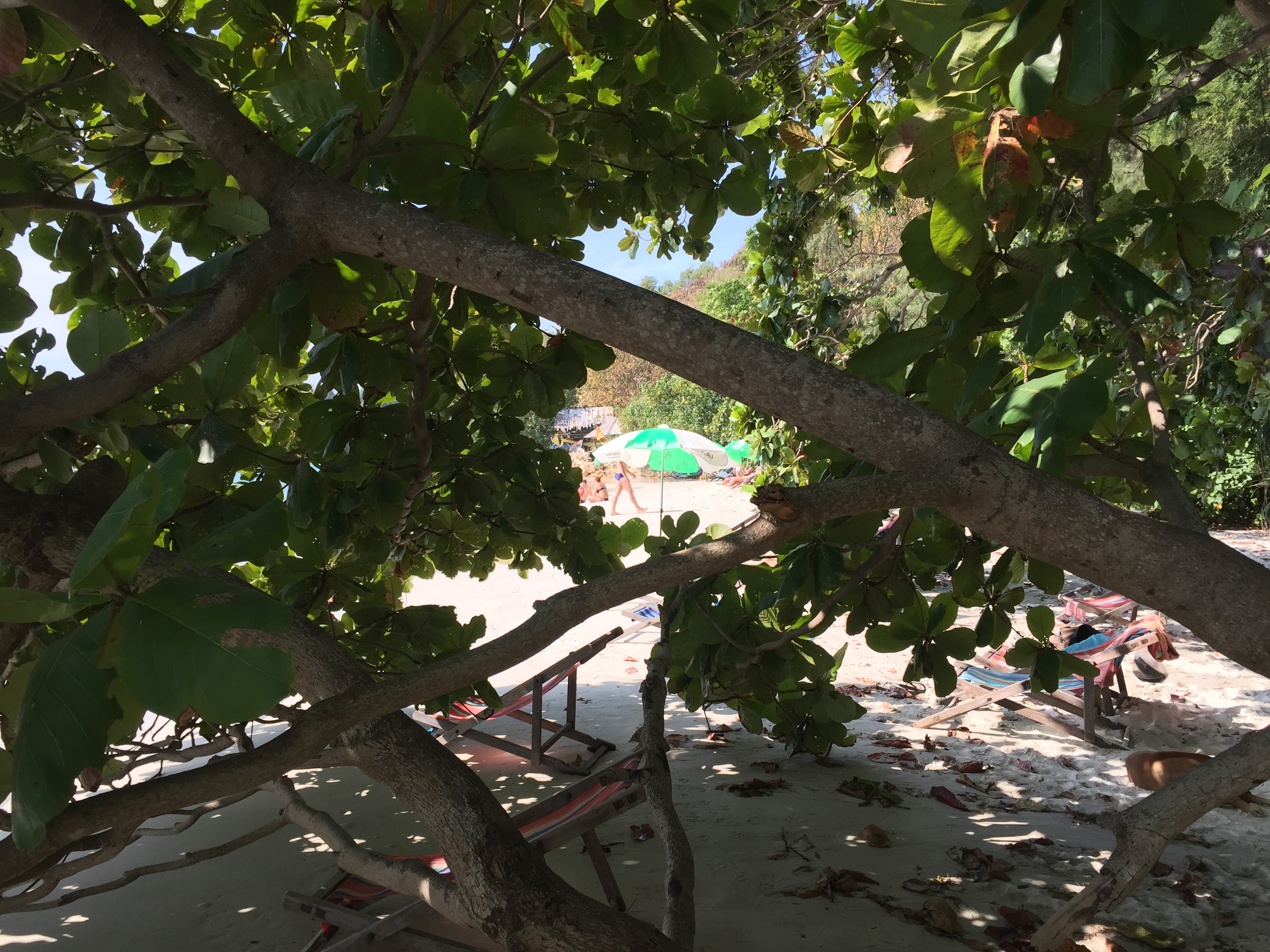 รูปถ่าย ไทย(Thailand) เกาะเสม็ด(Ko Samet) 2014-12 350