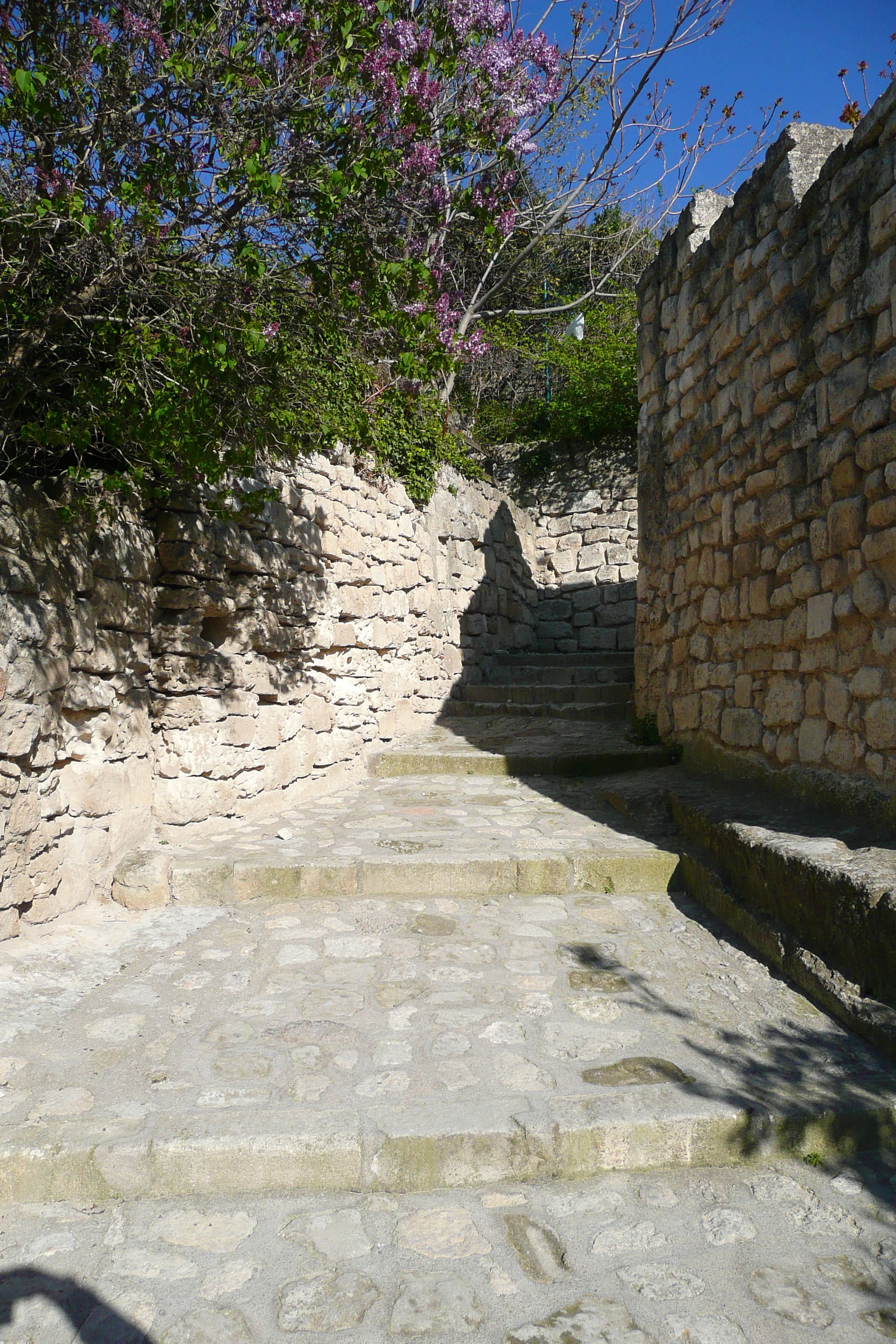 รูปถ่าย ฝรั่งเศส(France) เลส์โบเดอโพรว็องซ์(Baux de Provence) หมู่บ้านโบเดอโพรว็องส์(Baux de Provence Village) 2008-04 5