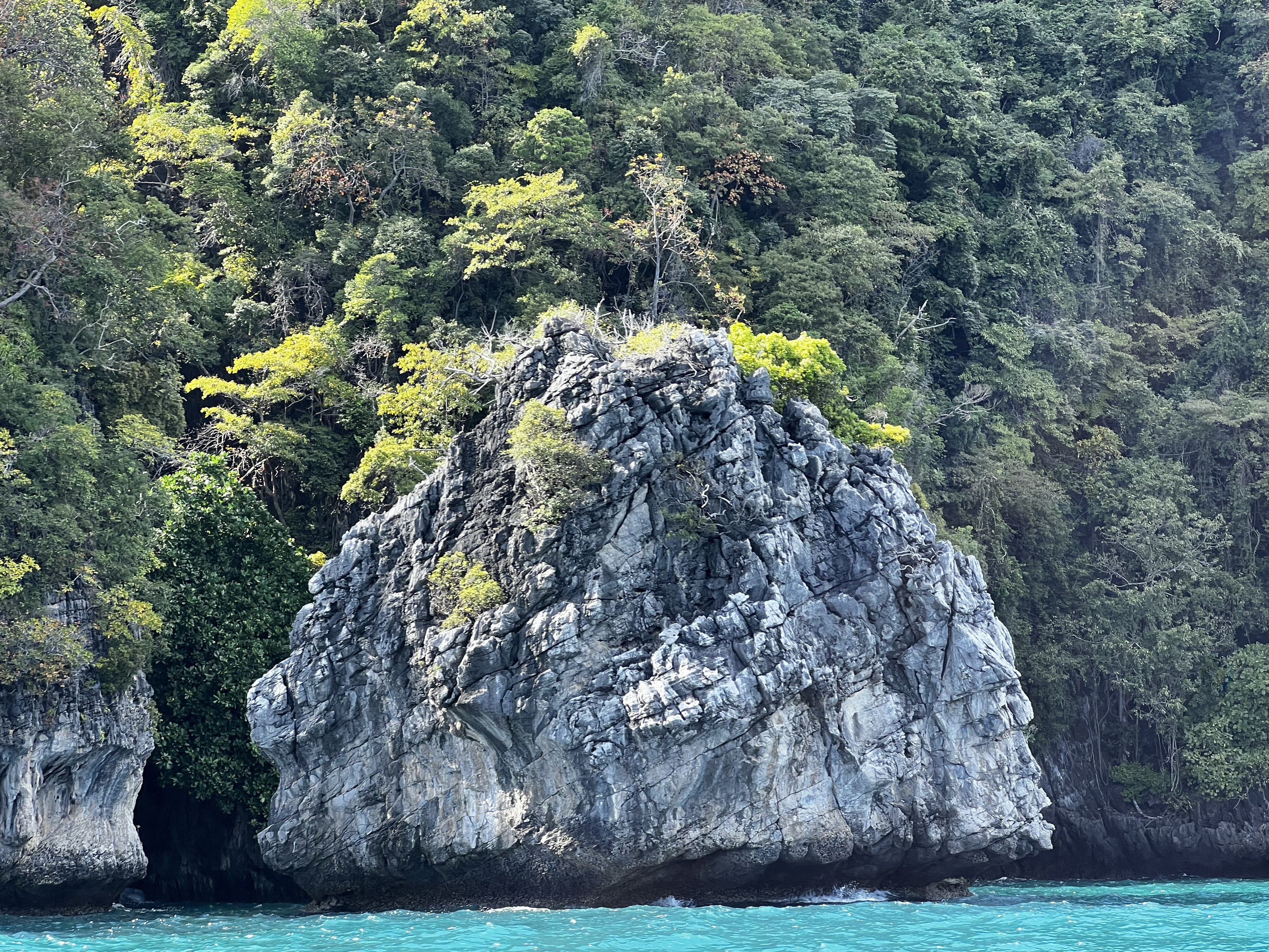 รูปถ่าย ไทย(Thailand) เกาะพีพีเล(Ko Phi Phi Ley) 2021-12 142