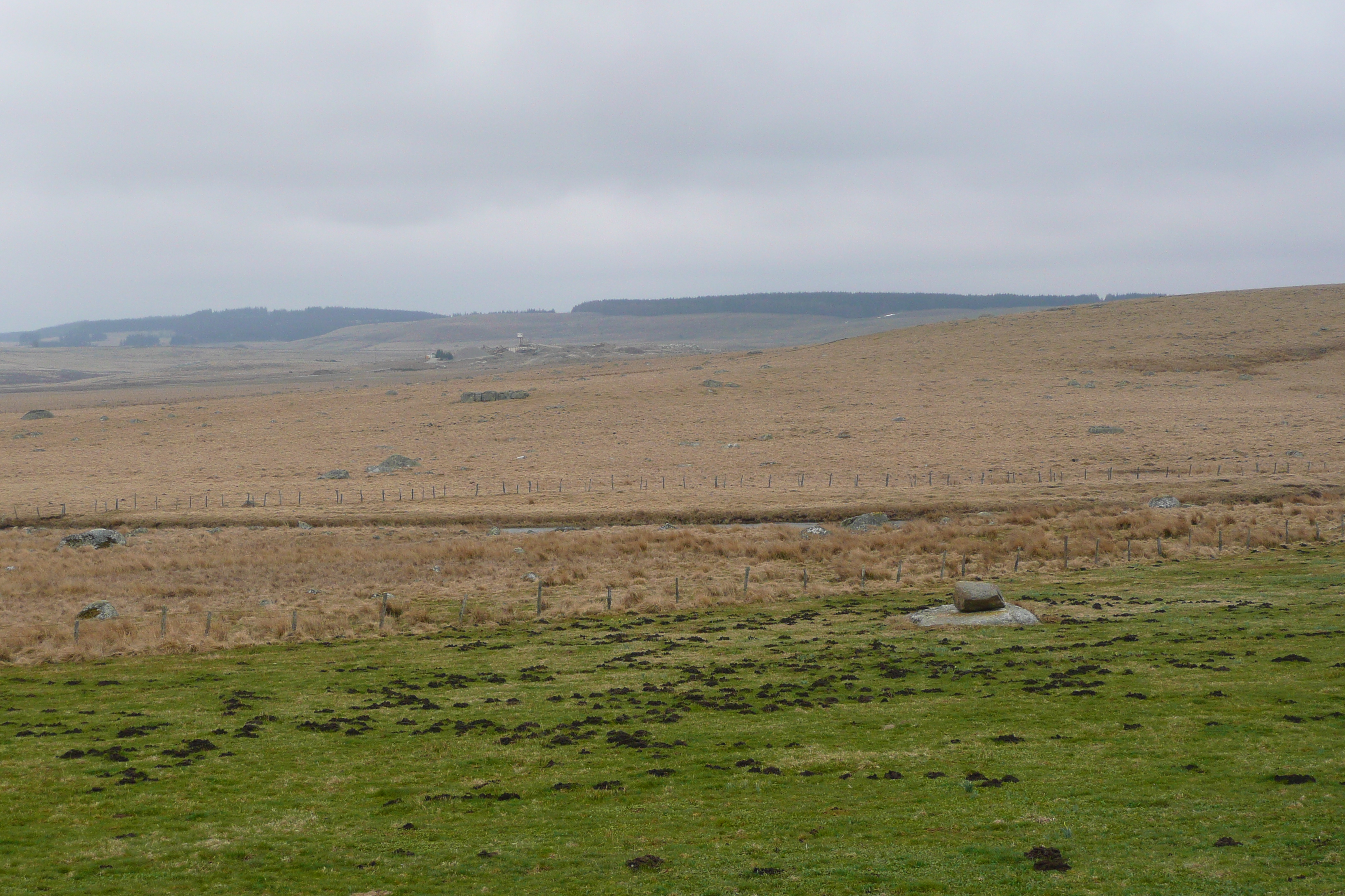 รูปถ่าย ฝรั่งเศส(France) โอบรัก(L'Aubrac) 2008-04 77