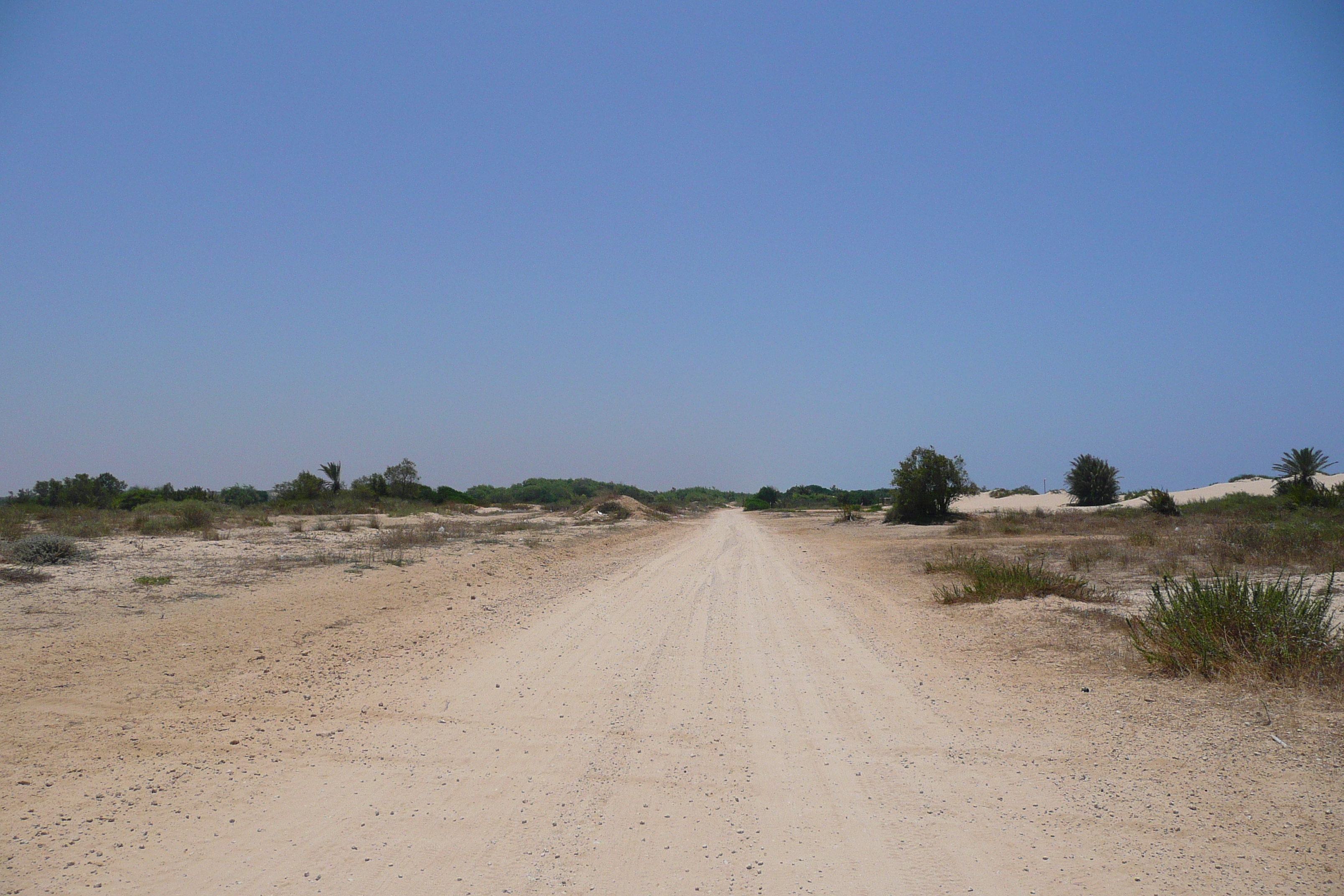 รูปถ่าย อิสราเอล(Israel) นิทซาน(Nitzan) 2007-06 99