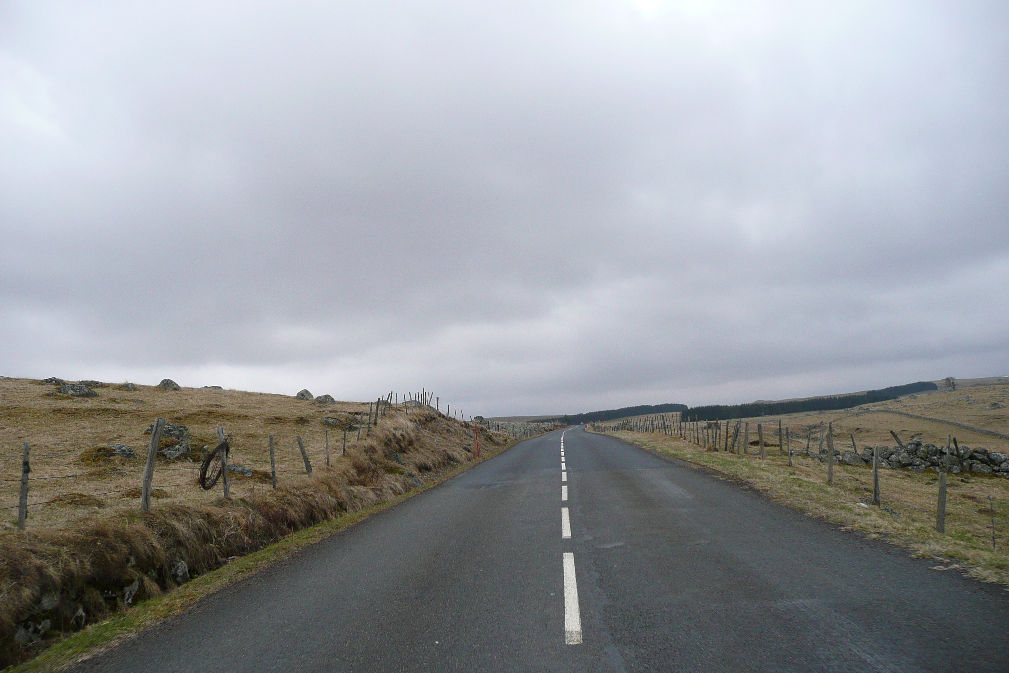 รูปถ่าย ฝรั่งเศส(France) โอบรัก(L'Aubrac) 2008-04 56