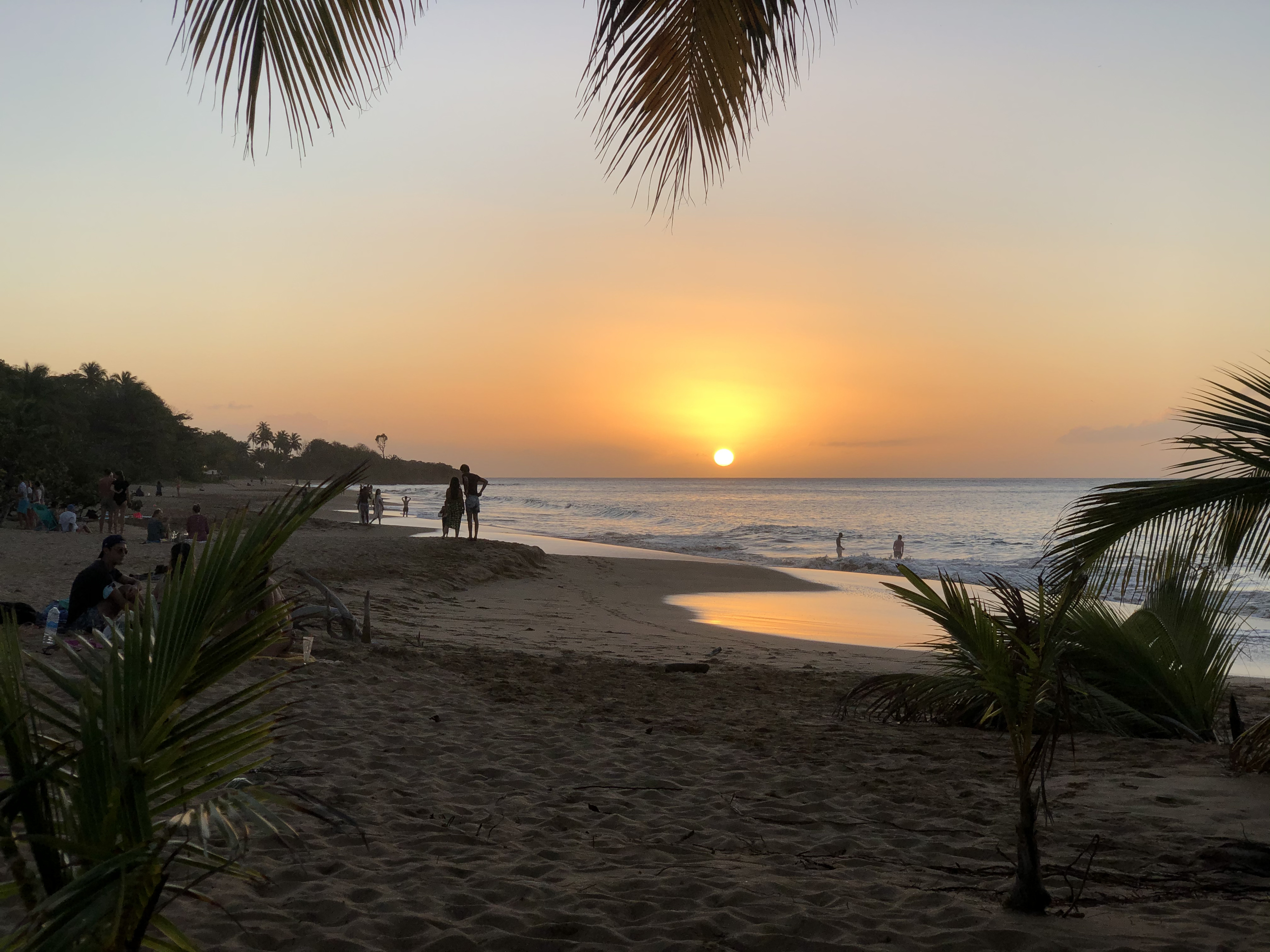 รูปถ่าย กวาเดอลูป(Guadeloupe) หาดลาแปร์ล(La Perle Beach) 2021-02 57