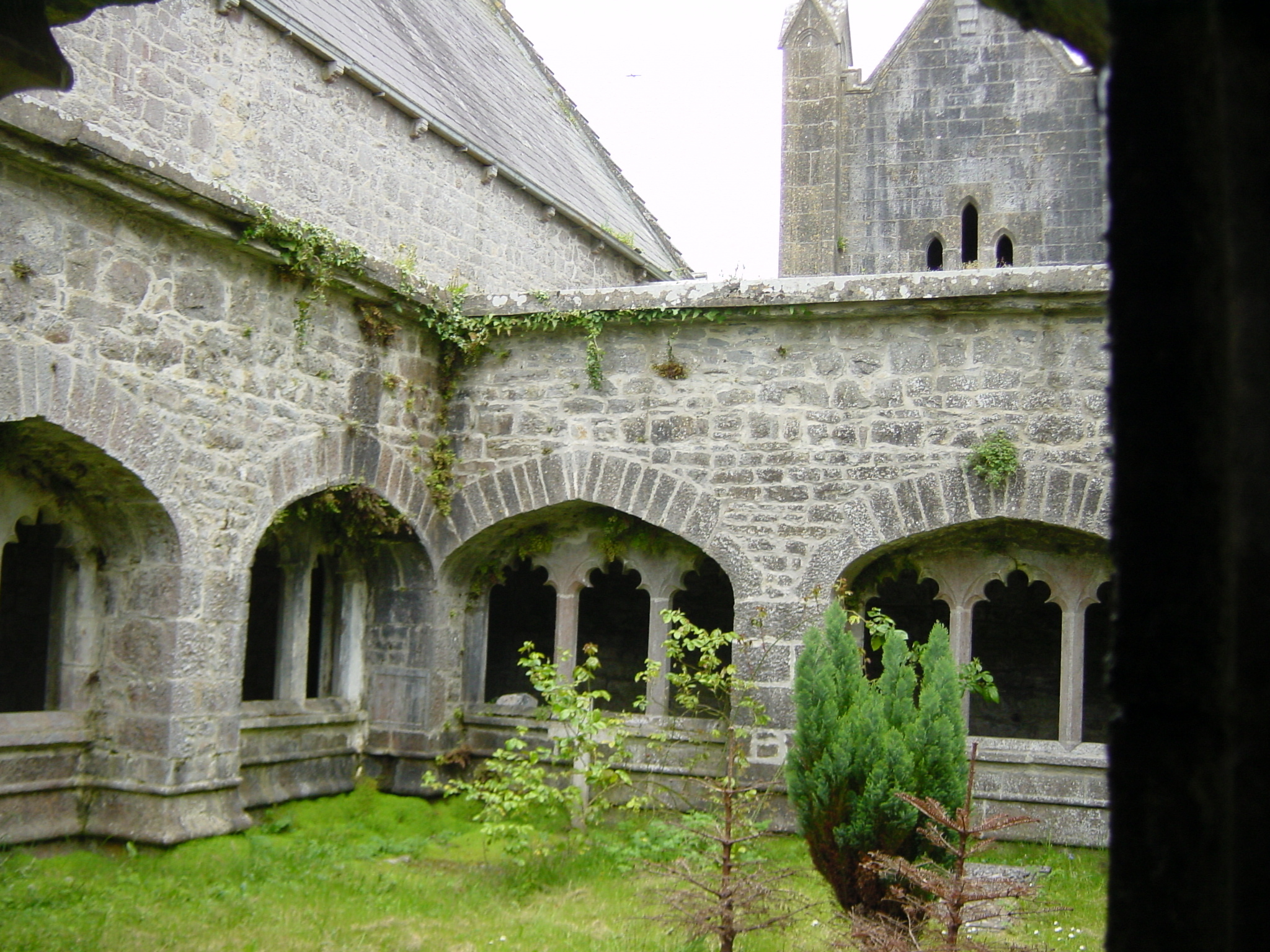 รูปถ่าย ไอร์แลนด์(Ireland) เคาน์ตีลิเมอริก(Limerick County) อาแดร์(Adare) 2004-05 9