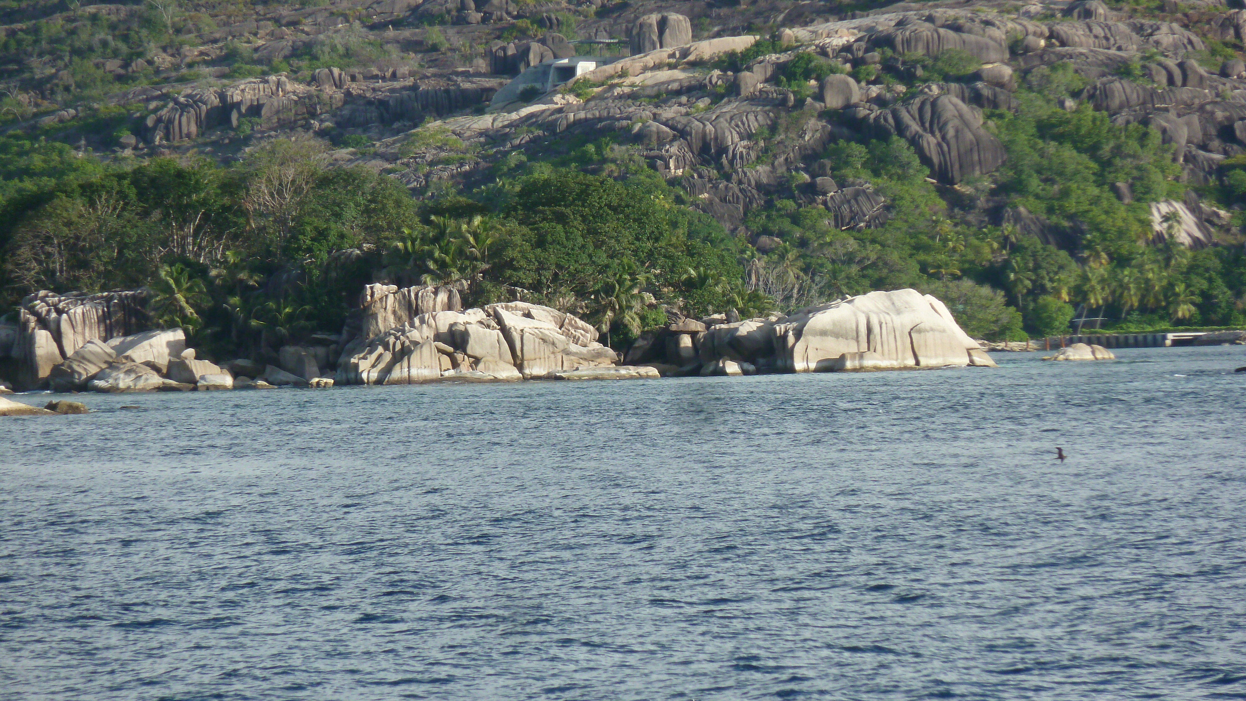 รูปถ่าย เซเชลส์(Seychelles) เกาะโกโก้(Coco Island) 2011-10 57