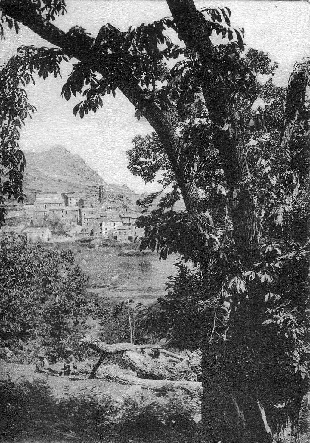 รูปถ่าย ฝรั่งเศส(France) คอร์สิคา(Corsica) โปสการ์ดเก่า(Old Postcards) 1900-01 229