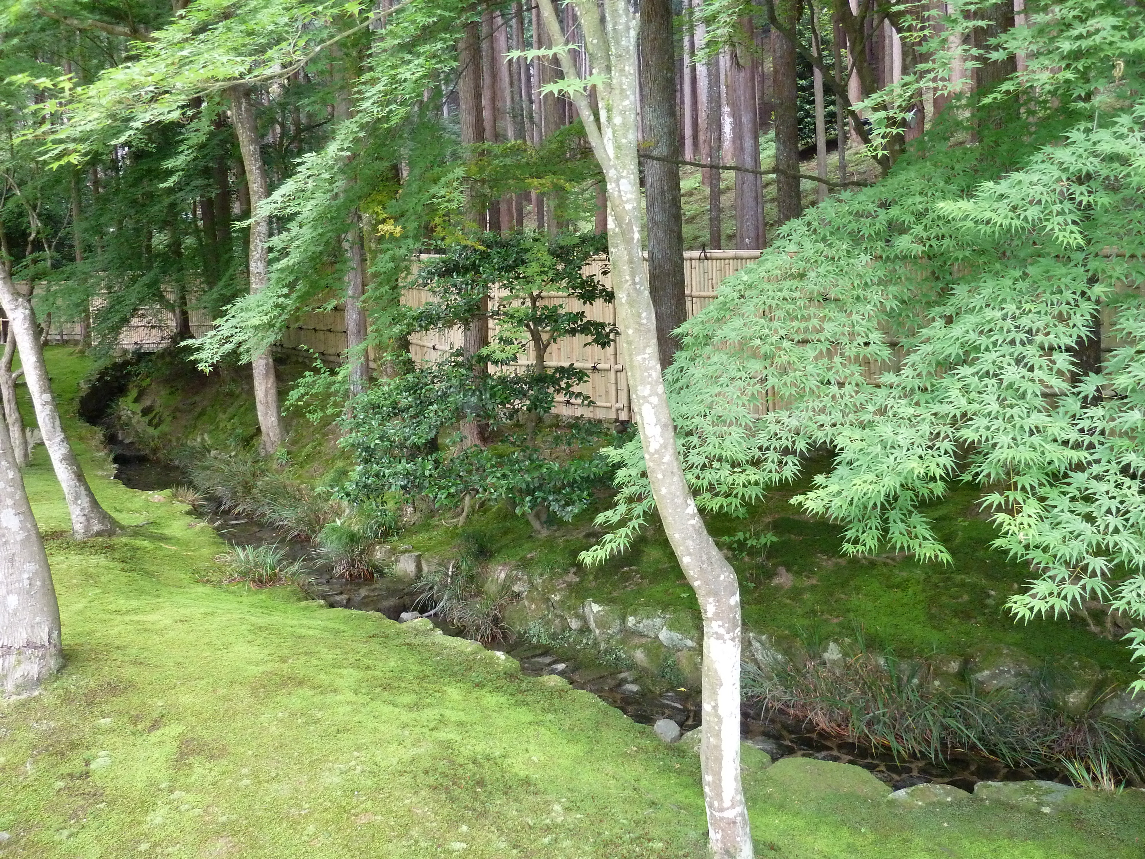 รูปถ่าย ญี่ปุ่น(Japan) เกียวโต(Kyoto) วัดกินกะกุจิ (ศาลาเงิน)(Ginkakuji Temple(Silver Pavilion)) 2010-06 3