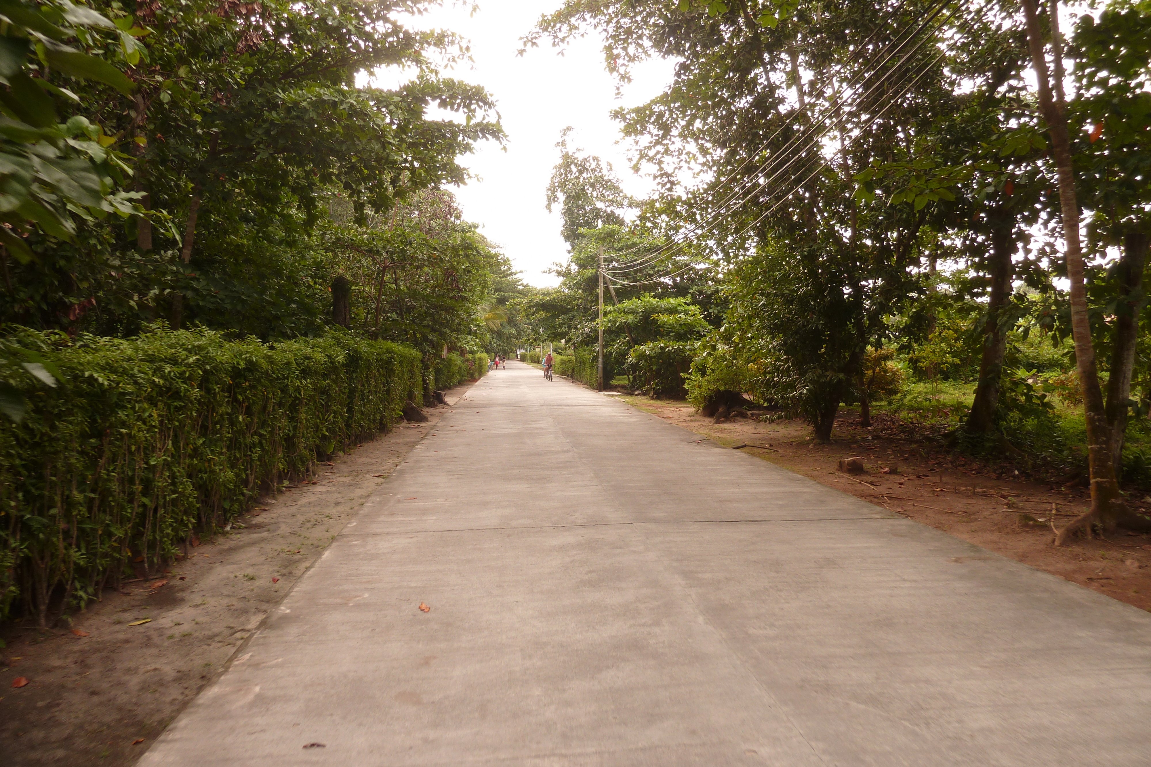 รูปถ่าย เซเชลส์(Seychelles) เกาะลาดีก(La Digue) 2011-10 201
