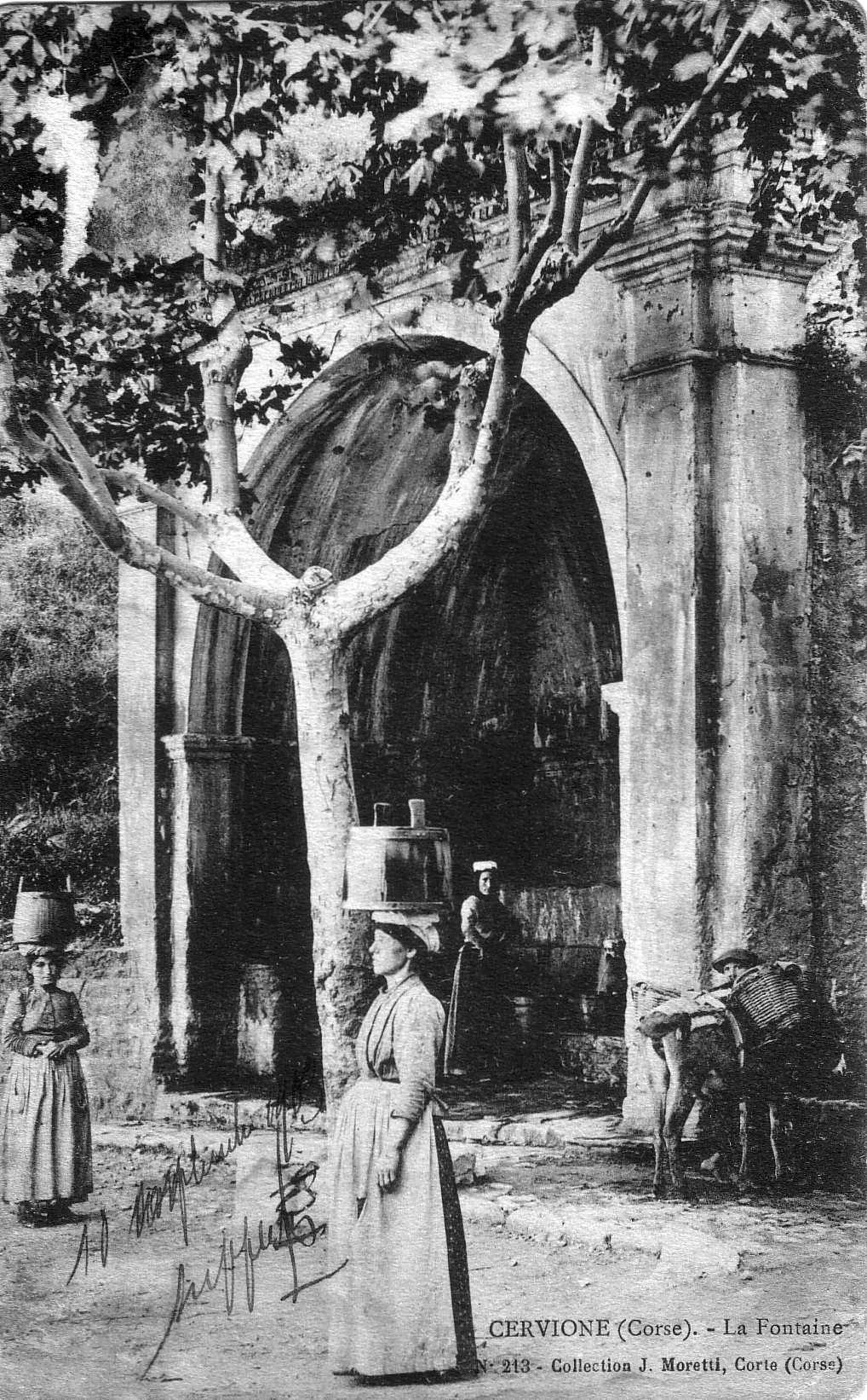 รูปถ่าย ฝรั่งเศส(France) คอร์สิคา(Corsica) โปสการ์ดเก่า(Old Postcards) 1900-01 258