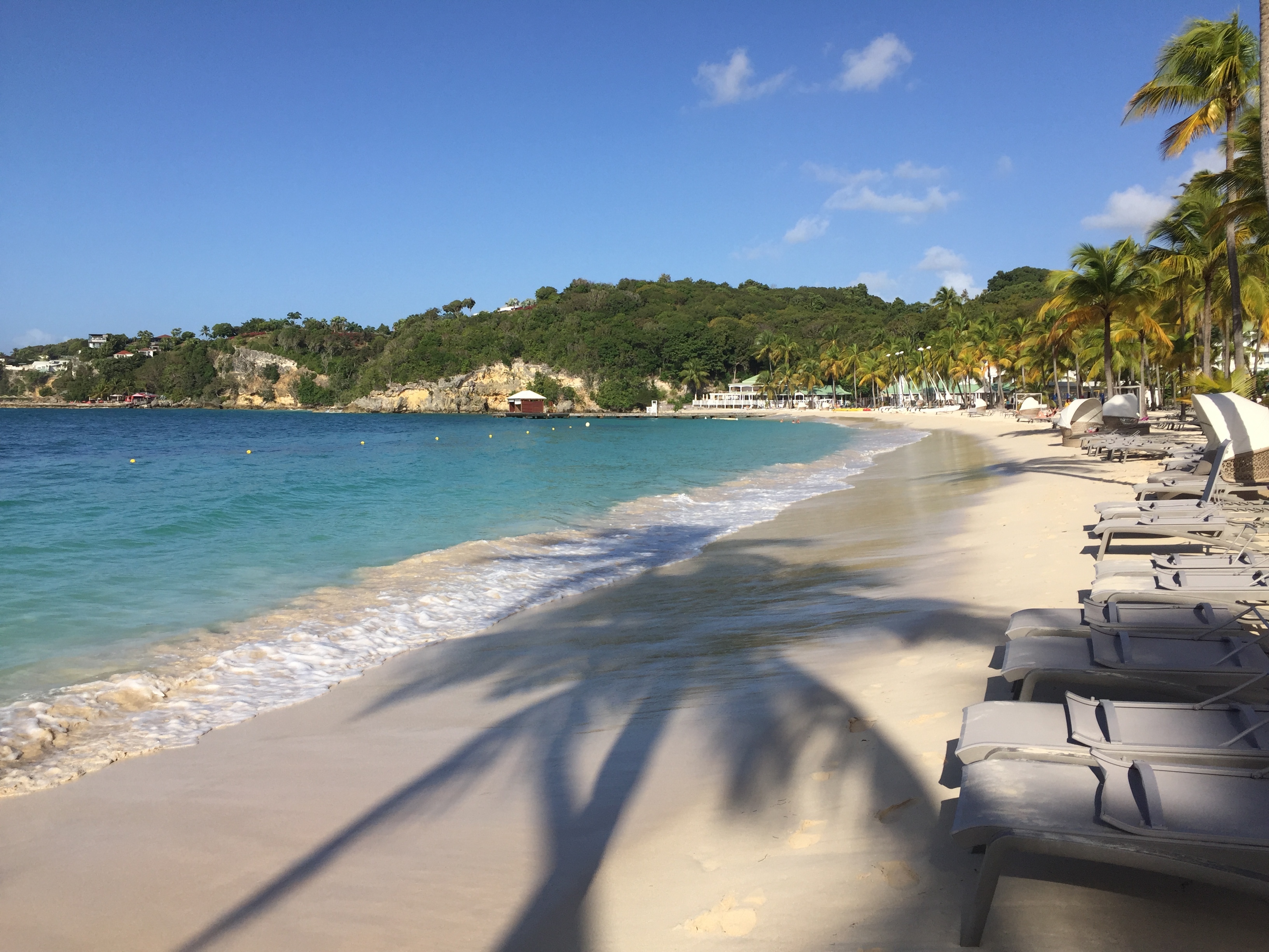 รูปถ่าย กวาเดอลูป(Guadeloupe) หาดลาการาแวล(La Caravelle Beach) 2021-02 100