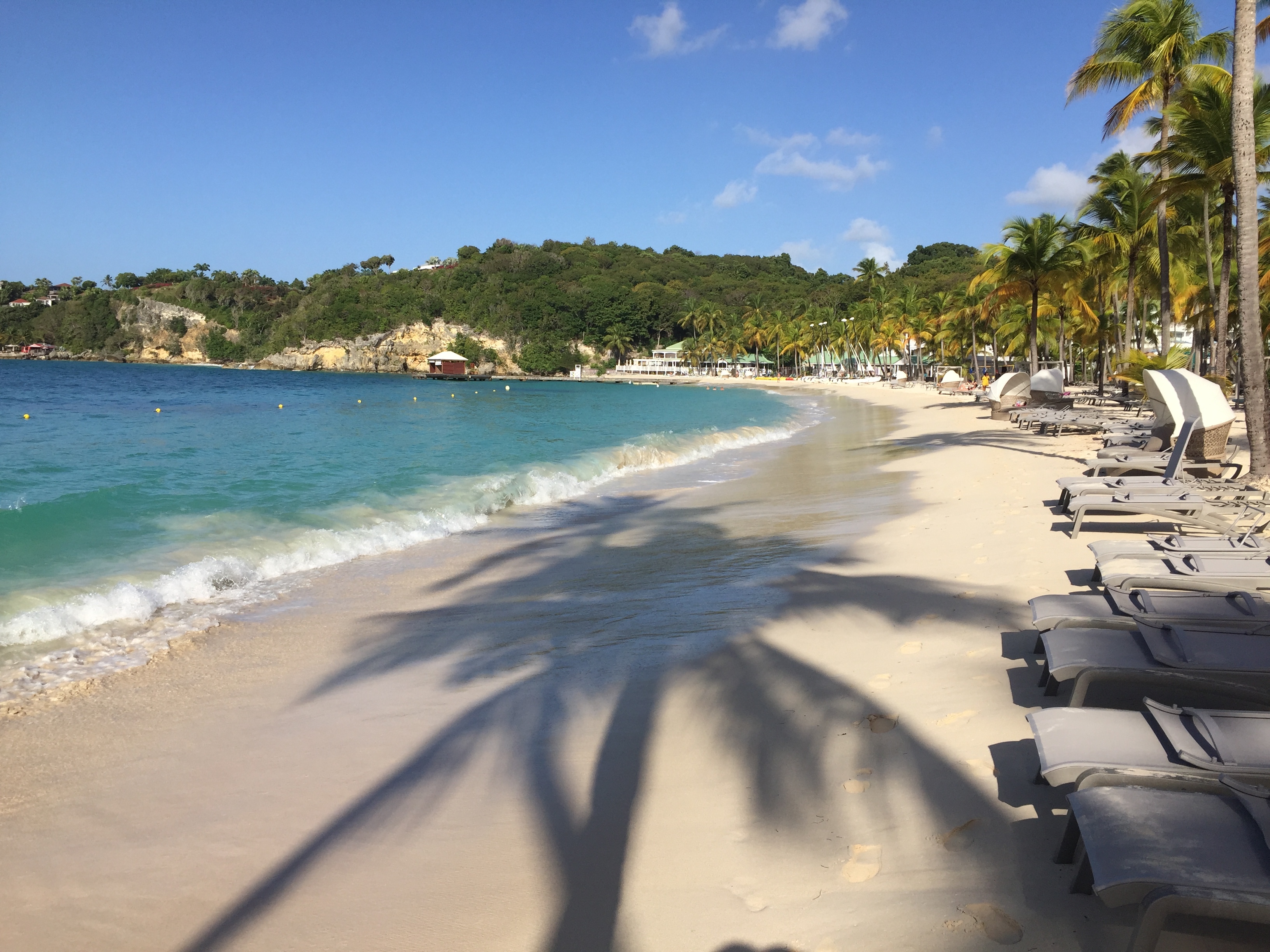 รูปถ่าย กวาเดอลูป(Guadeloupe) หาดลาการาแวล(La Caravelle Beach) 2021-02 108
