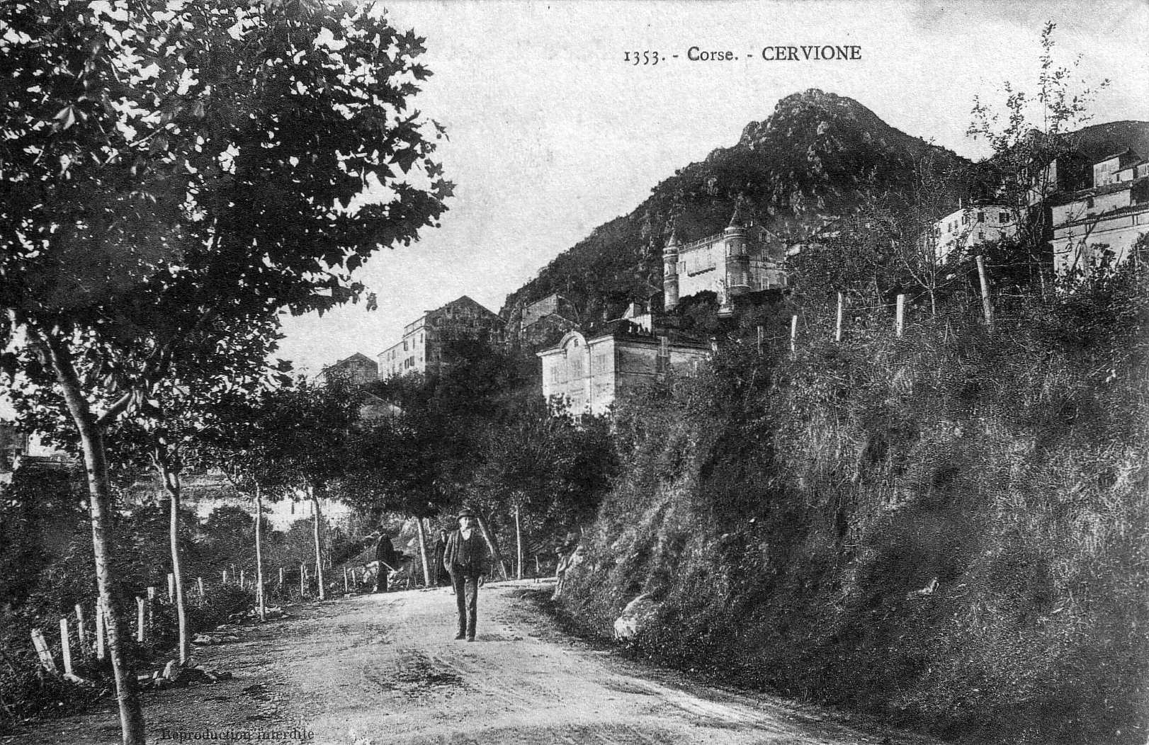 รูปถ่าย ฝรั่งเศส(France) คอร์สิคา(Corsica) โปสการ์ดเก่า(Old Postcards) 1900-01 174