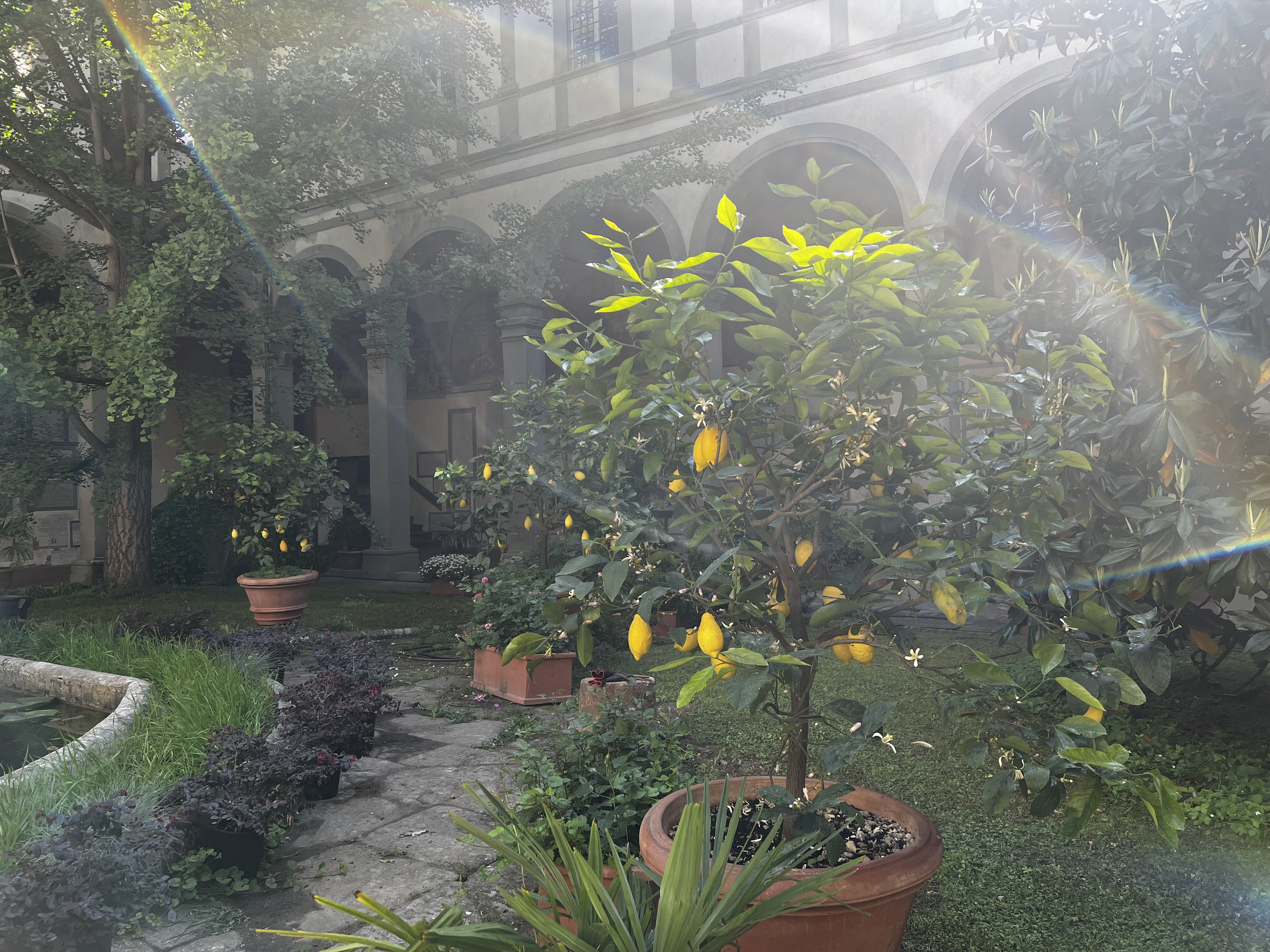 รูปถ่าย อิตาลี(Italy) ฟลอเรนซ์(Florence) 2022-05 8