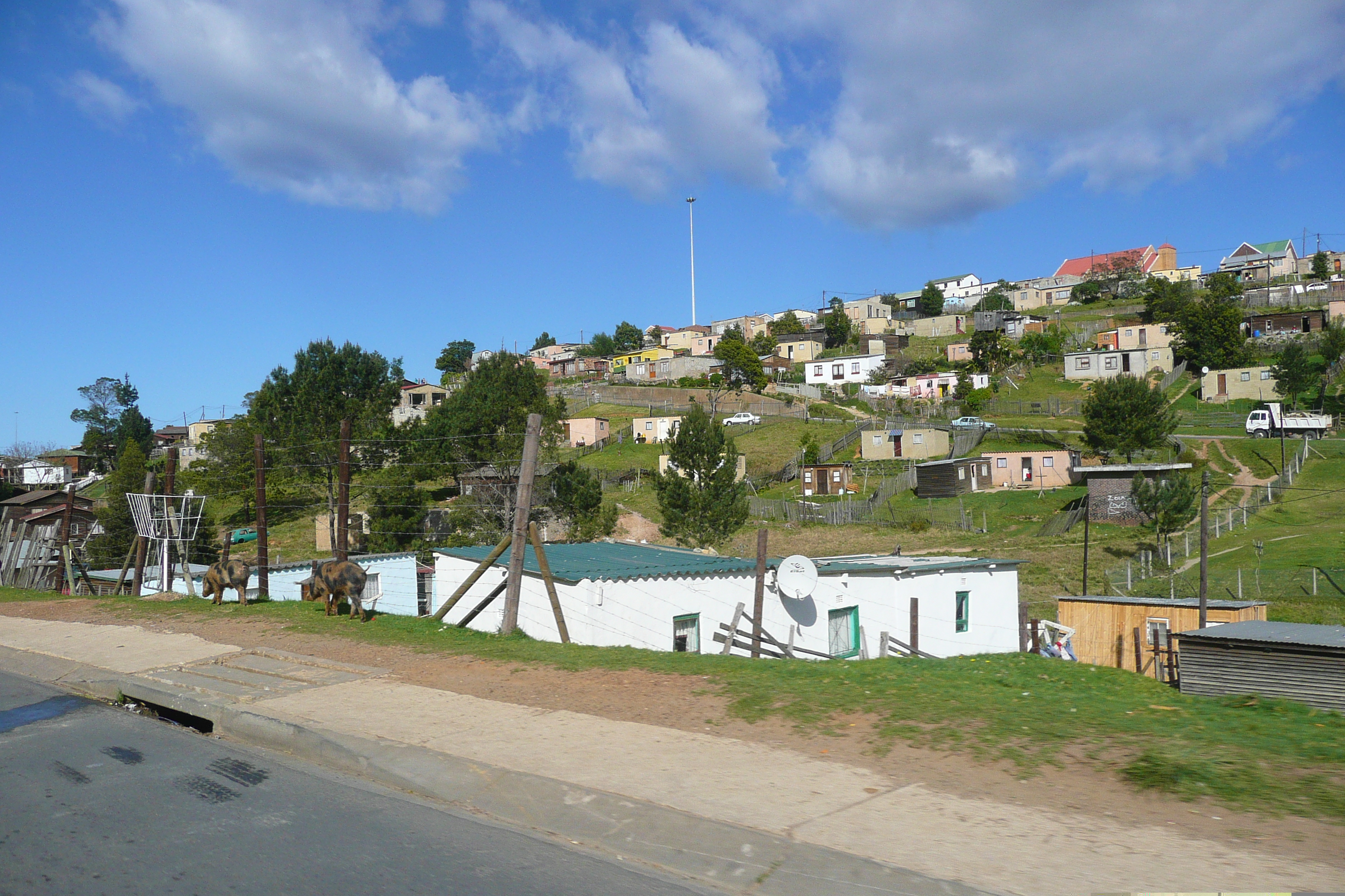 รูปถ่าย แอฟริกาใต้(South Africa) ไนส์นา(Knysna) 2008-09 96