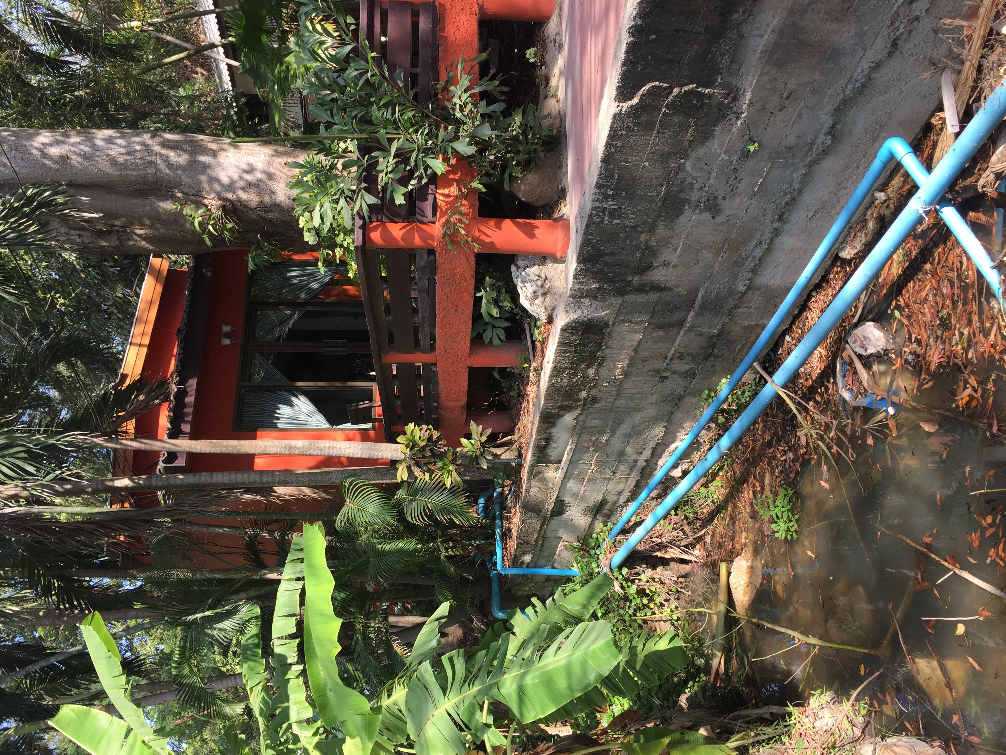 รูปถ่าย ไทย(Thailand) เกาะเสม็ด(Ko Samet) 2014-12 349