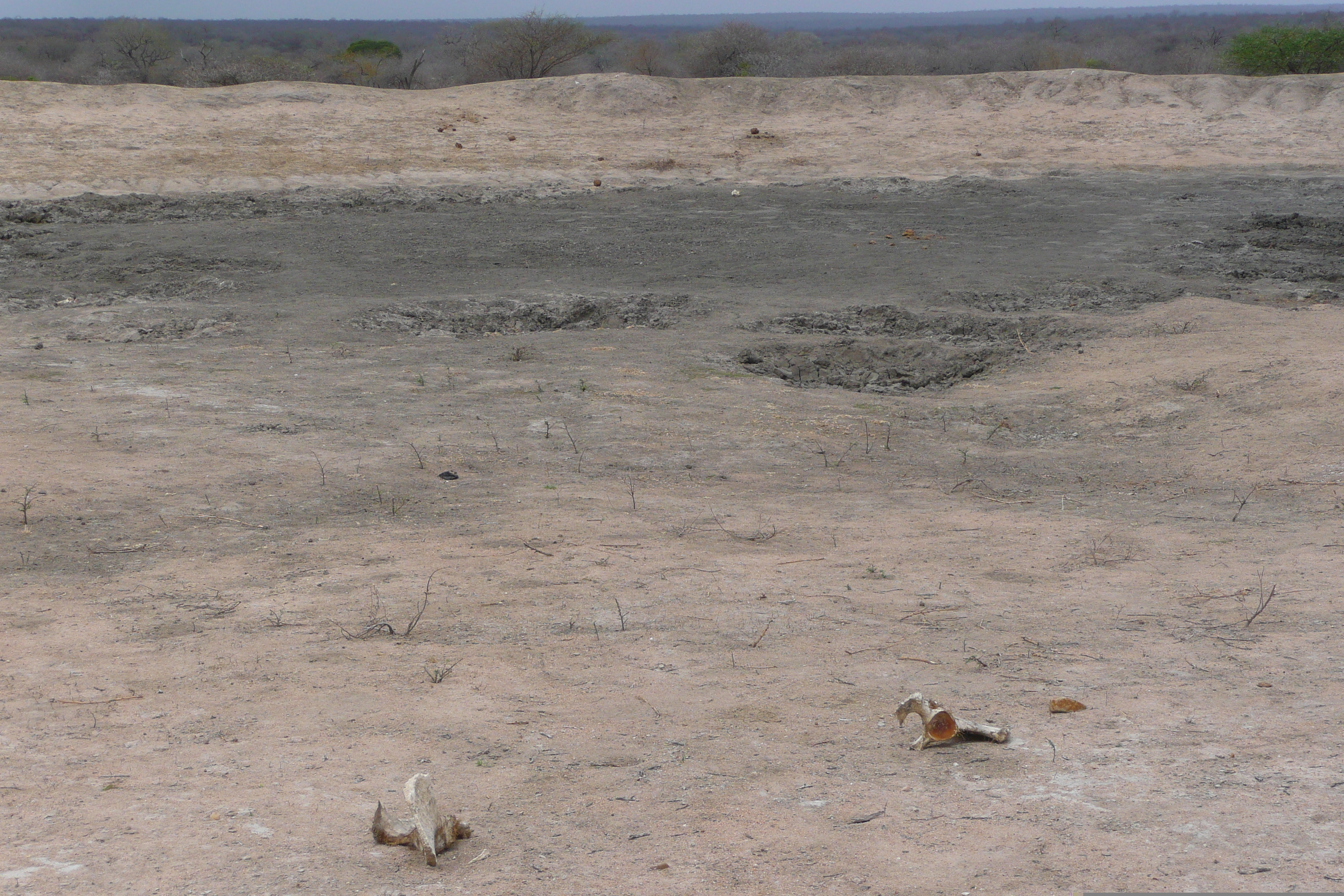 รูปถ่าย แอฟริกาใต้(South Africa) อุทยานแห่งชาติครูเกอร์(Kruger National Park) 2008-09 0