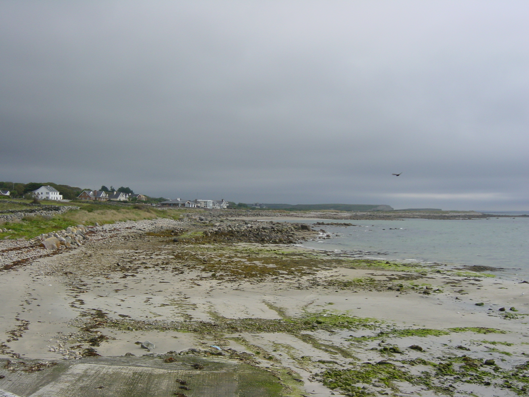 รูปถ่าย ไอร์แลนด์(Ireland) คอนเนอมารา(Connemara) 2003-09 56