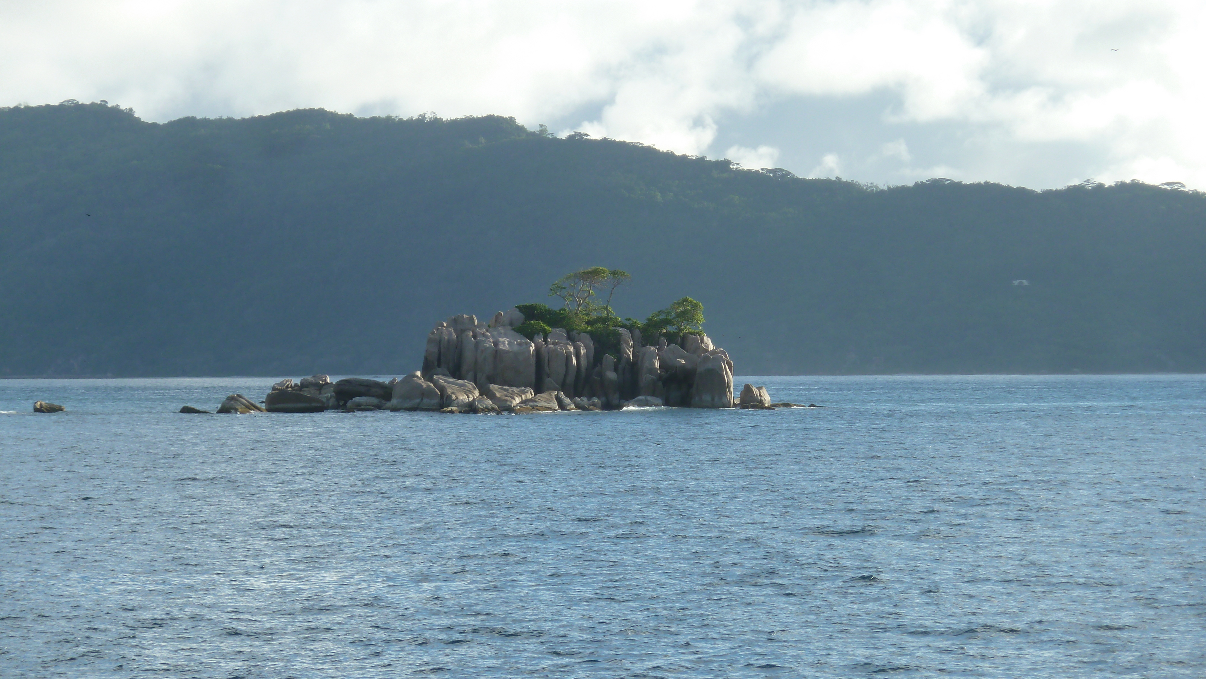 รูปถ่าย เซเชลส์(Seychelles) เกาะโกโก้(Coco Island) 2011-10 24