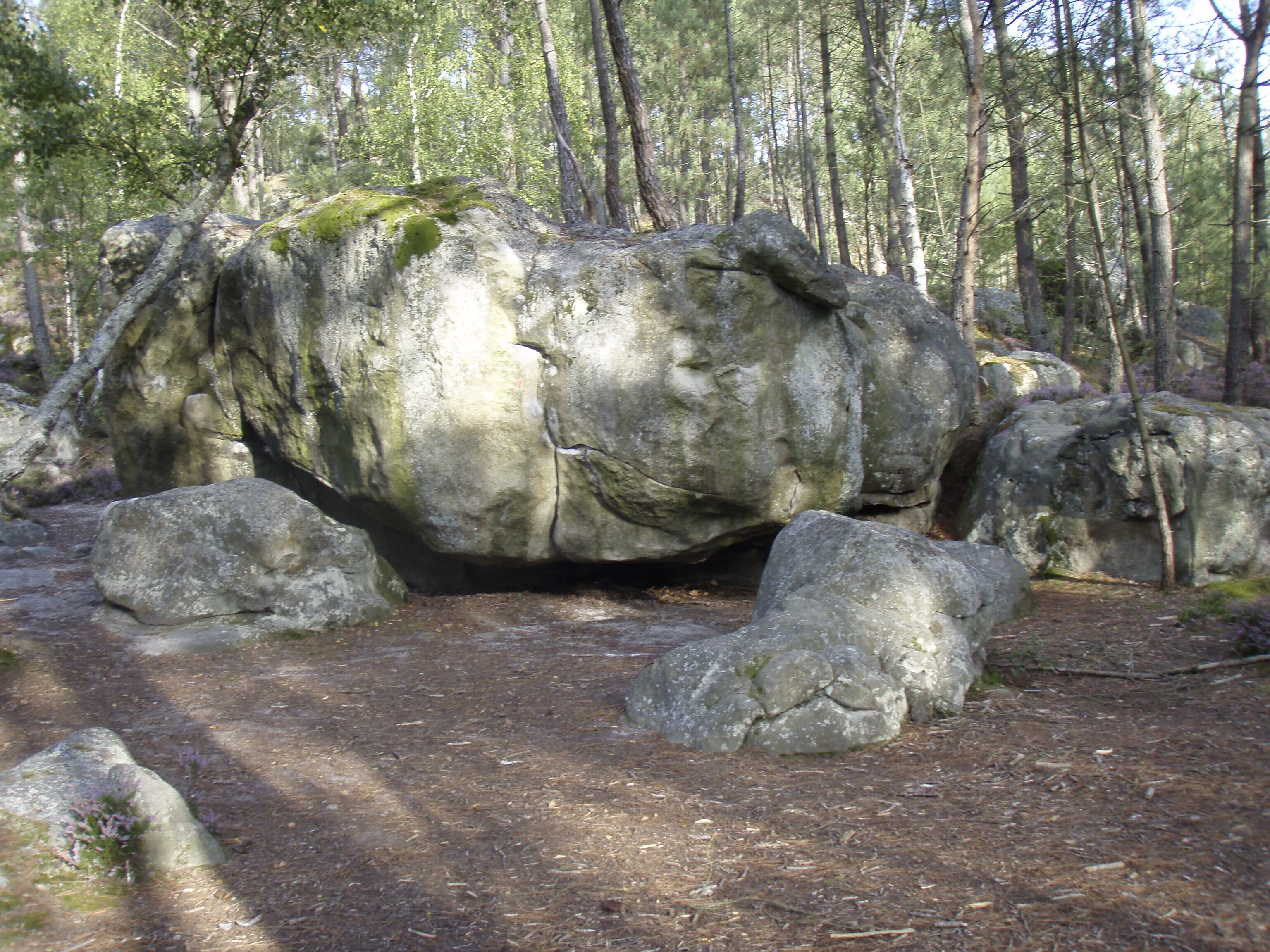 รูปถ่าย ฝรั่งเศส(France) ฟงเทนโบล(Fontainebleau) ทัวร์ป่า(Circuit des 25 bosses) 2007-08 131