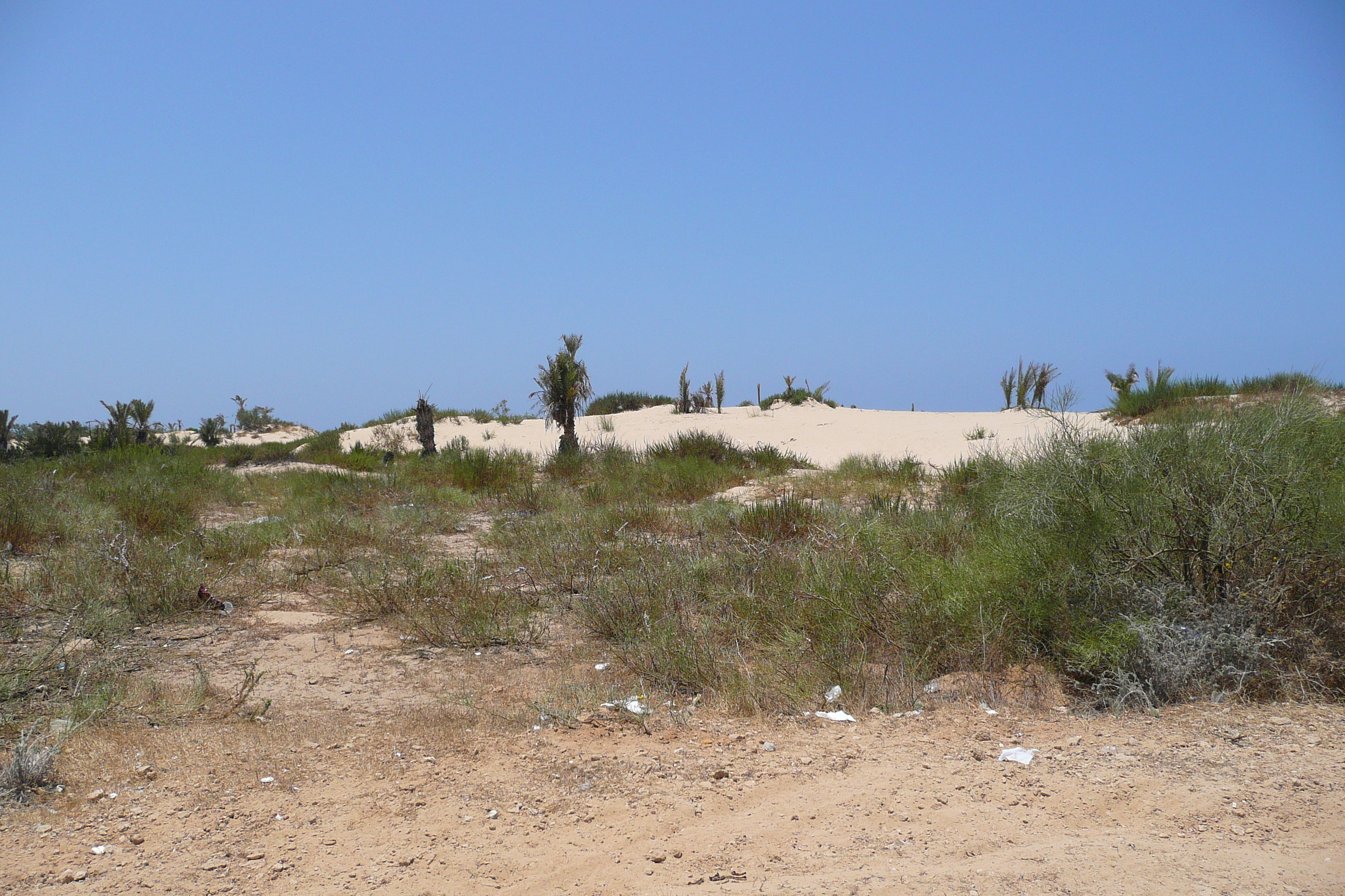 รูปถ่าย อิสราเอล(Israel) นิทซาน(Nitzan) 2007-06 77