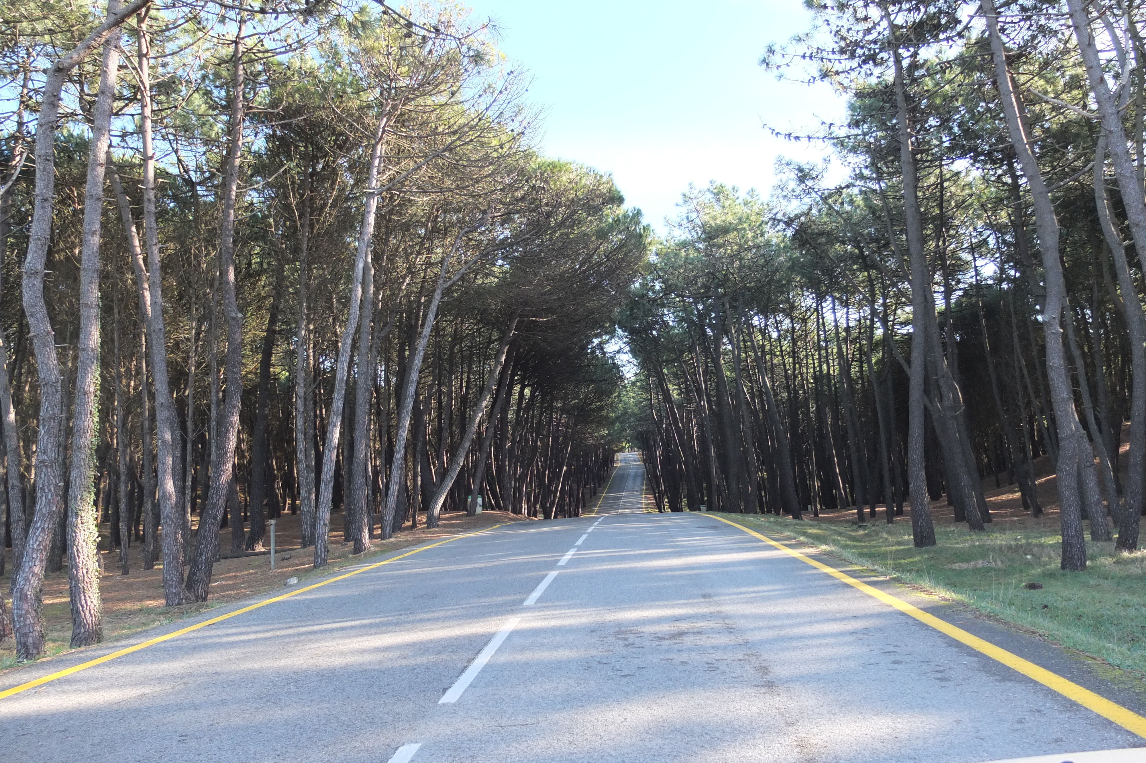 รูปถ่าย สเปน(Spain) กันตาเบรีย(Cantabria) 2013-01 7