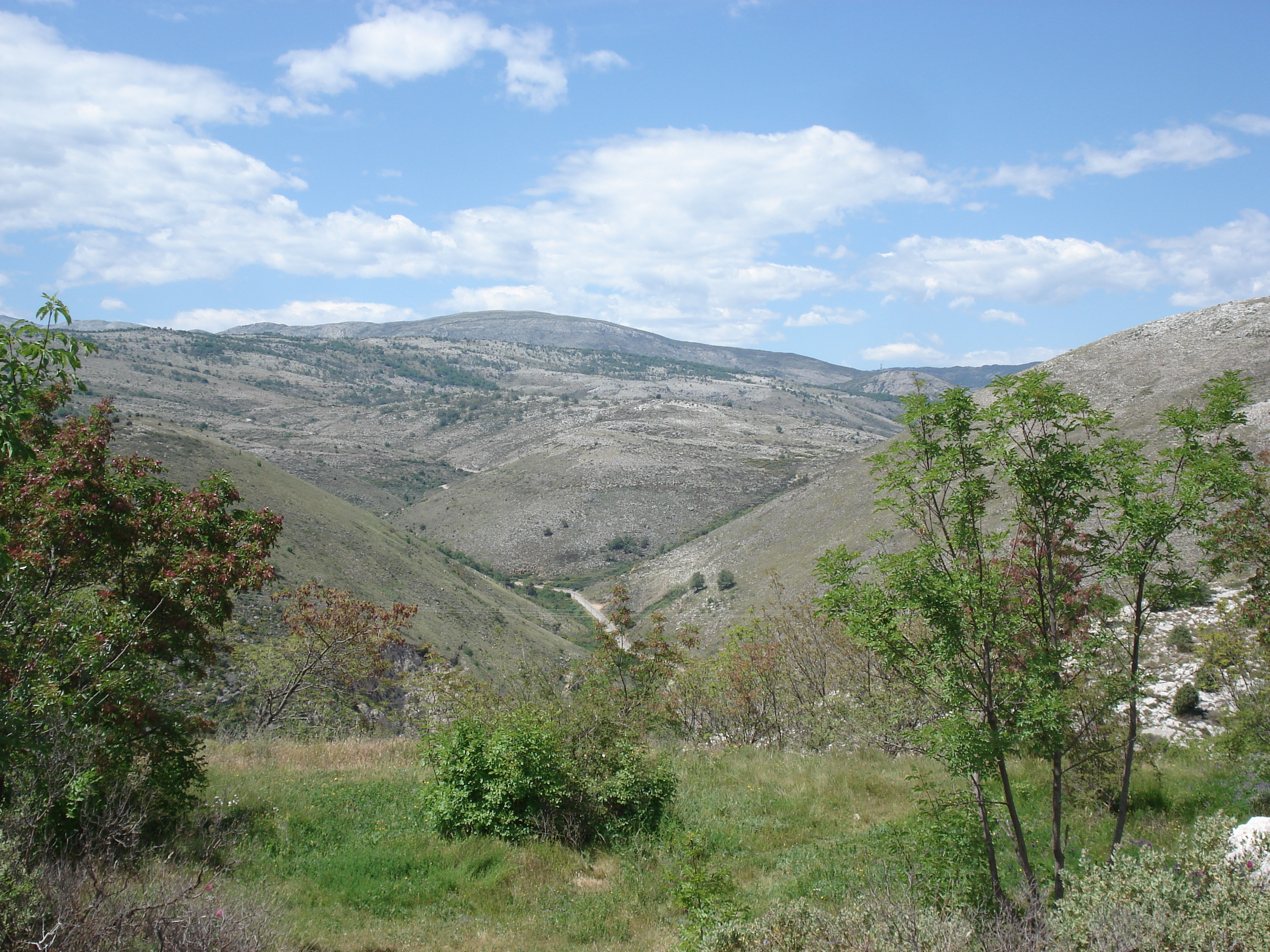 รูปถ่าย ฝรั่งเศส(France) วังซ์(Vence) บาอู(Baou) 2006-06 80