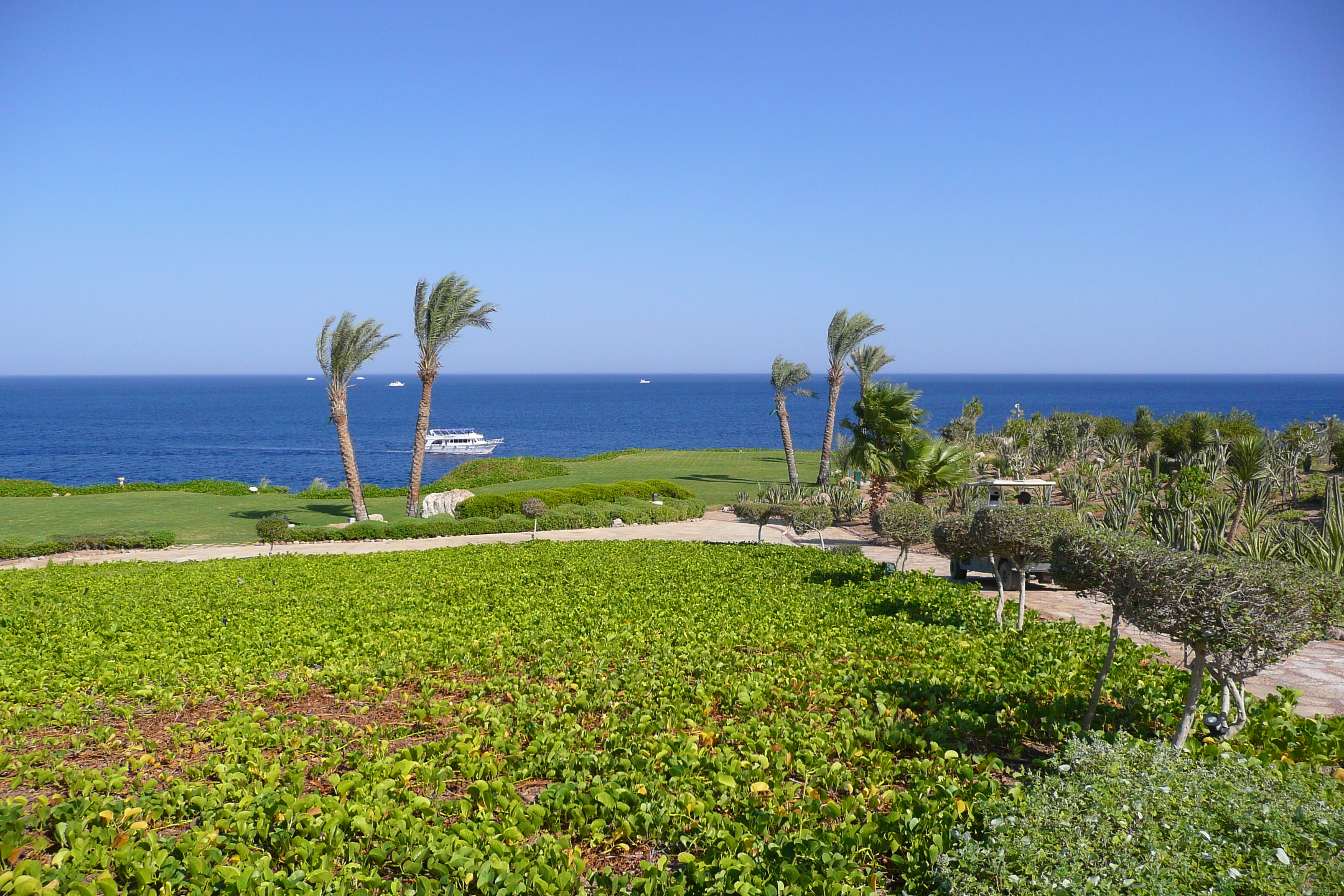 รูปถ่าย อียิปต์(Egypt) ชาร์มเอลชีค(Sharm el Sheikh) โรงแรมโฟร์ซีซันส์(Four Seasons Hotel) หาดโฟร์ซีซันส์(Four Seasons Beach) 2008-06 51