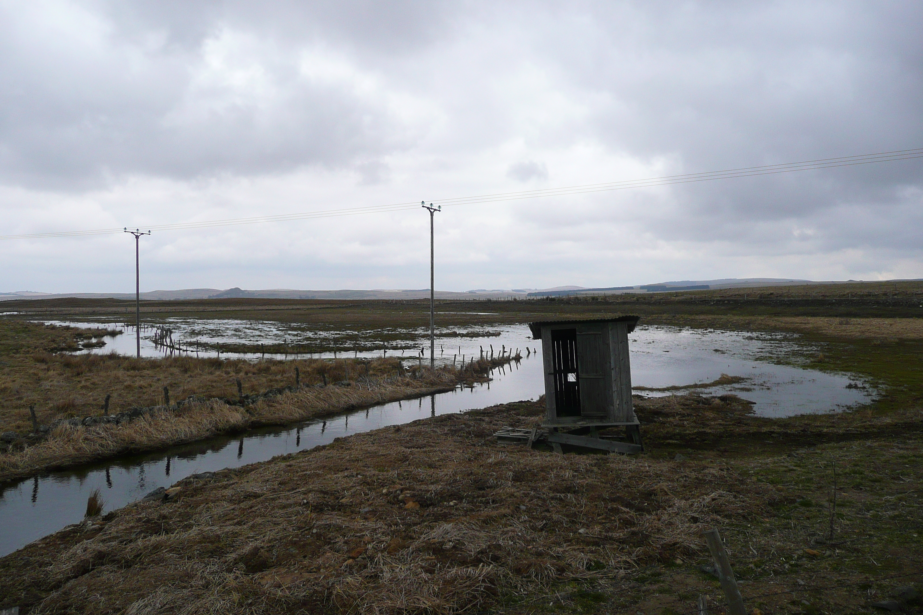 รูปถ่าย ฝรั่งเศส(France) โอบรัก(L'Aubrac) 2008-04 125