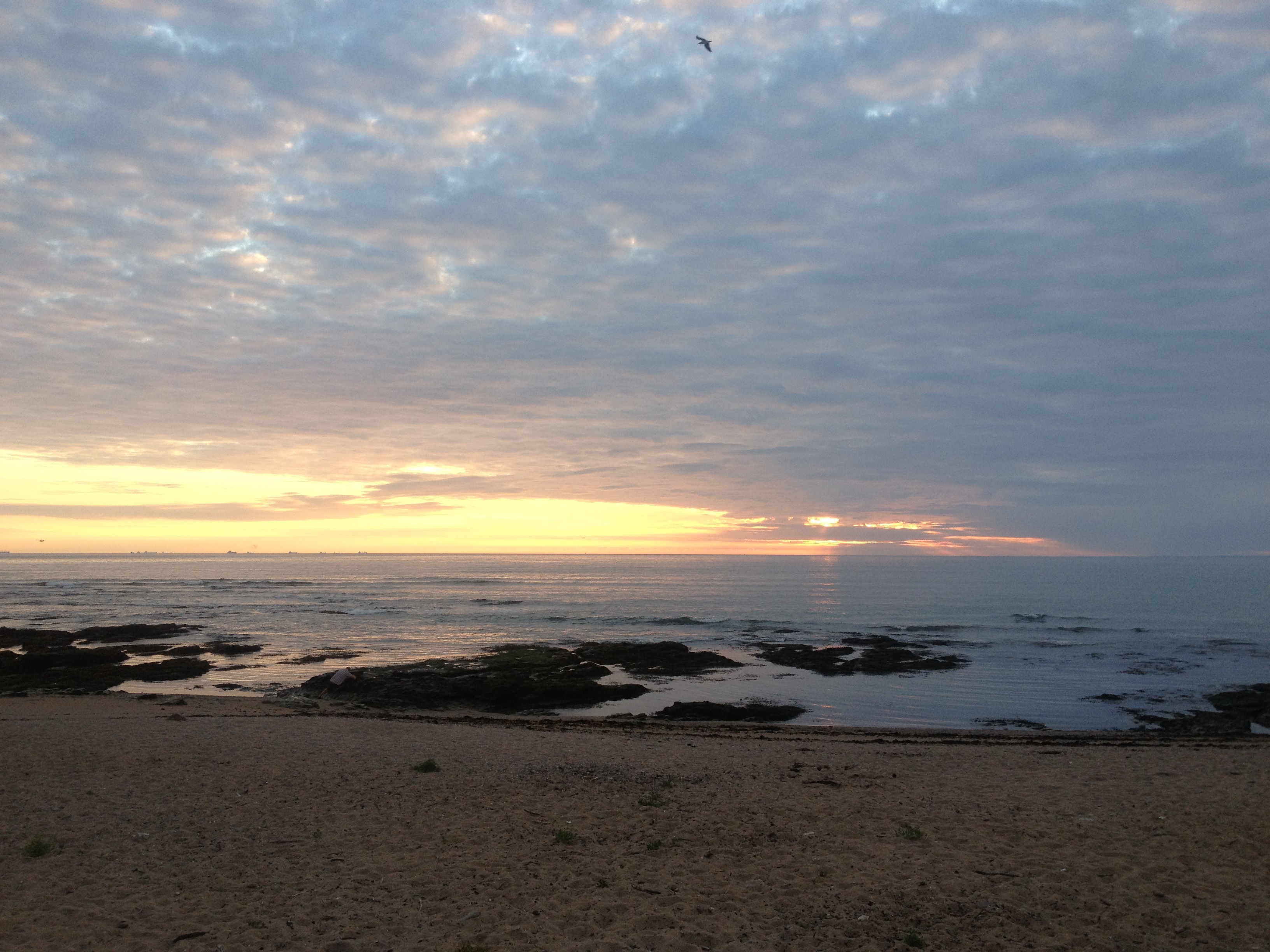 รูปถ่าย ฝรั่งเศส(France) ลาแปลน-ซูร์-แมร์(La Plaine sur mer) 2013-06 7